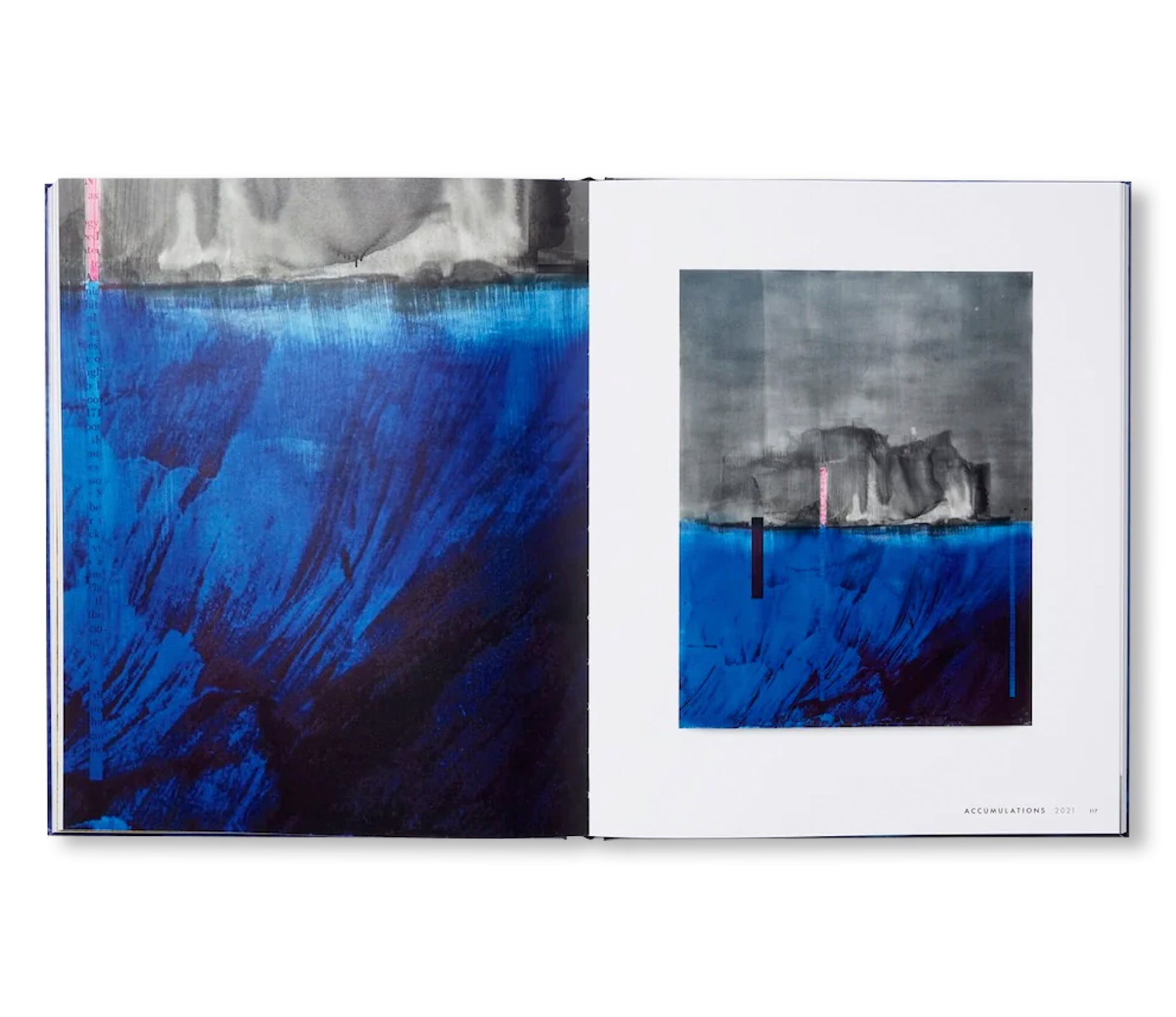 SOURCE NOTES by Lorna Simpson