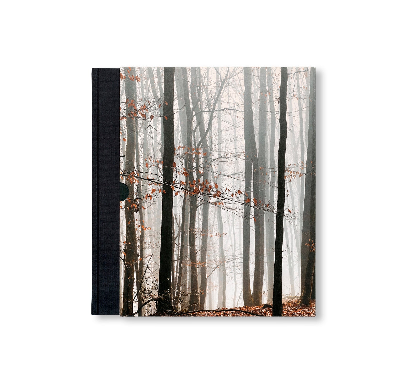 THE ENCOUNTER by Stéphan Crasneanscki [SIGNED]