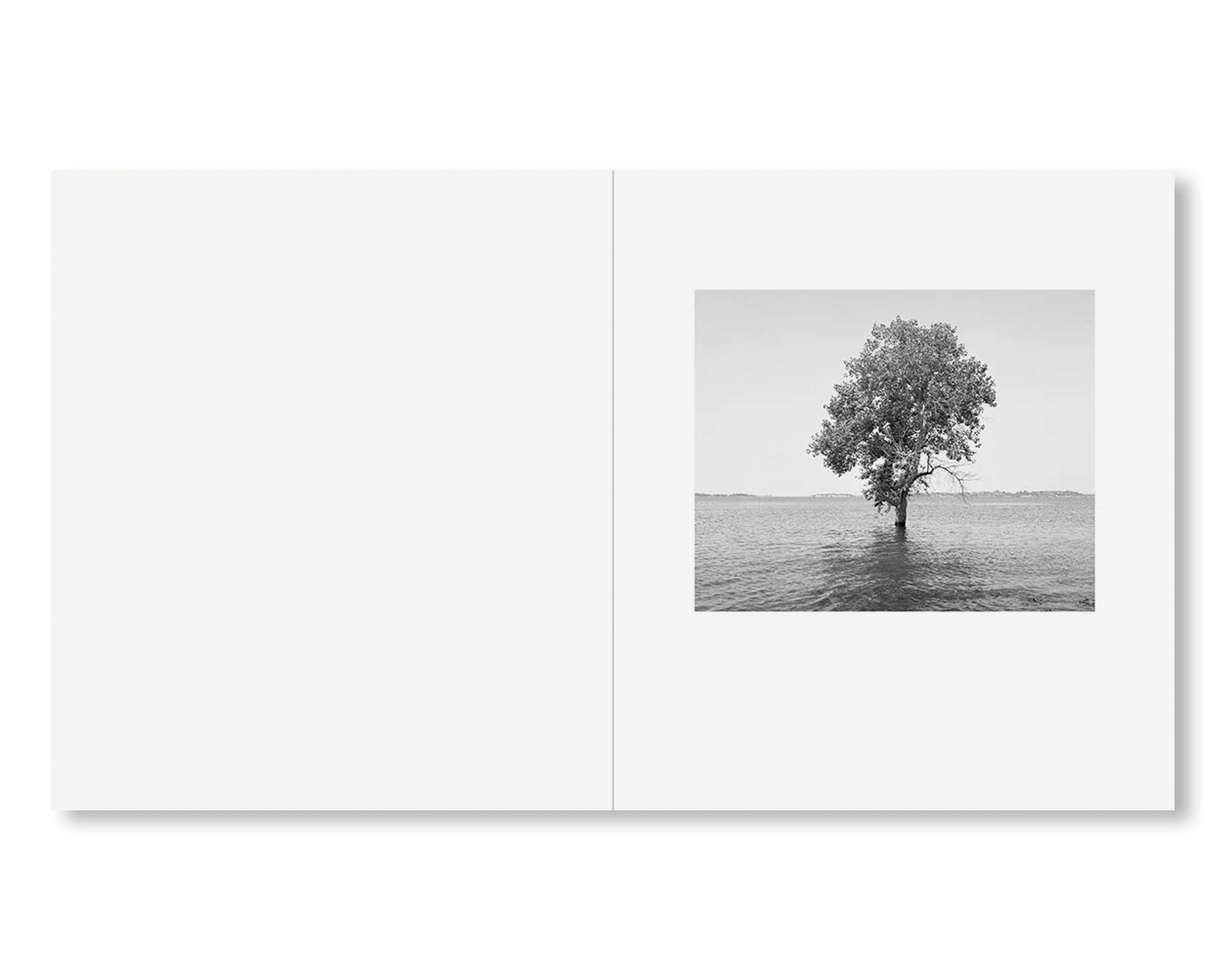 THE RESERVOIR by Mimi Plumb