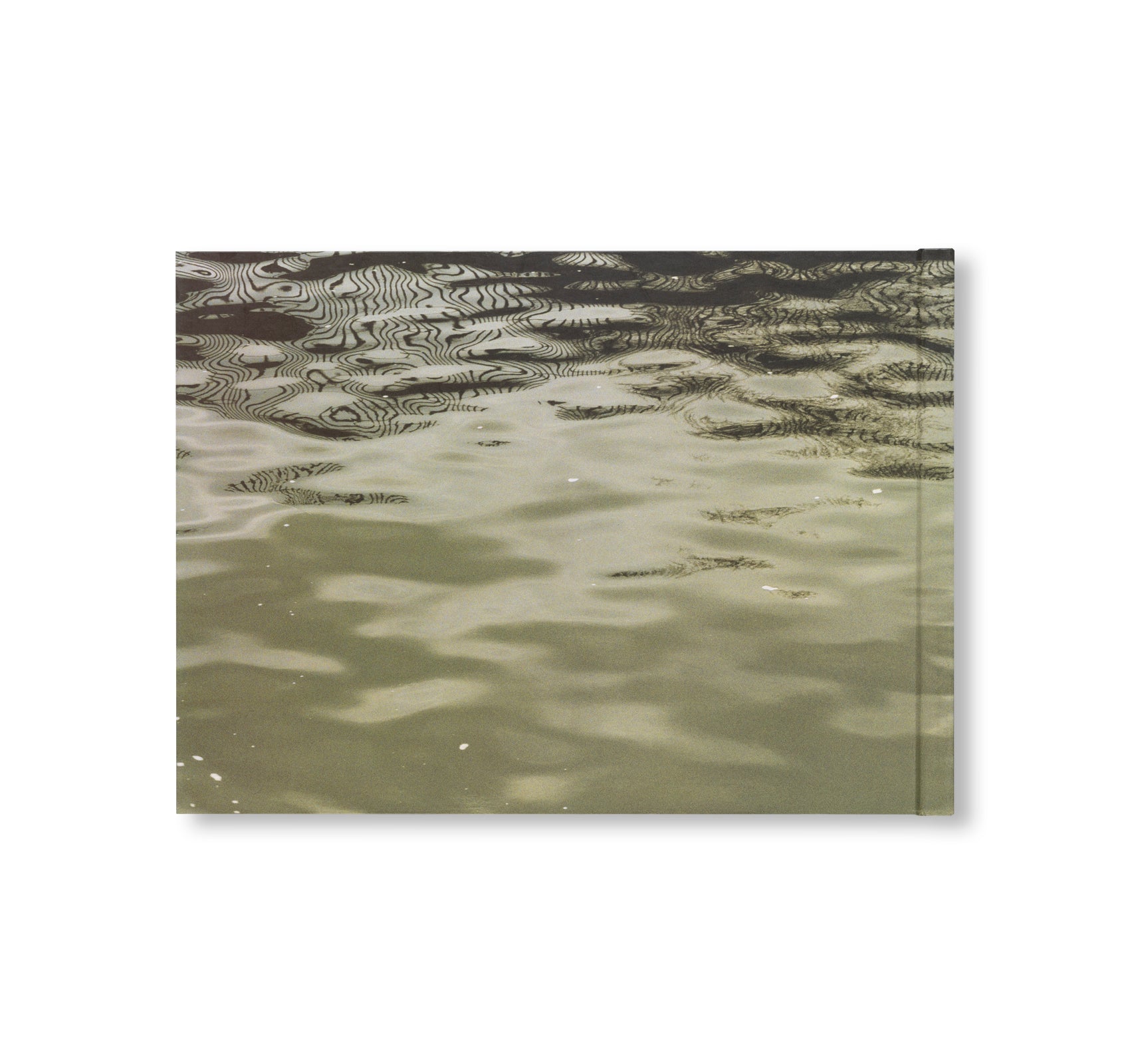 STILL WATER by Roni Horn