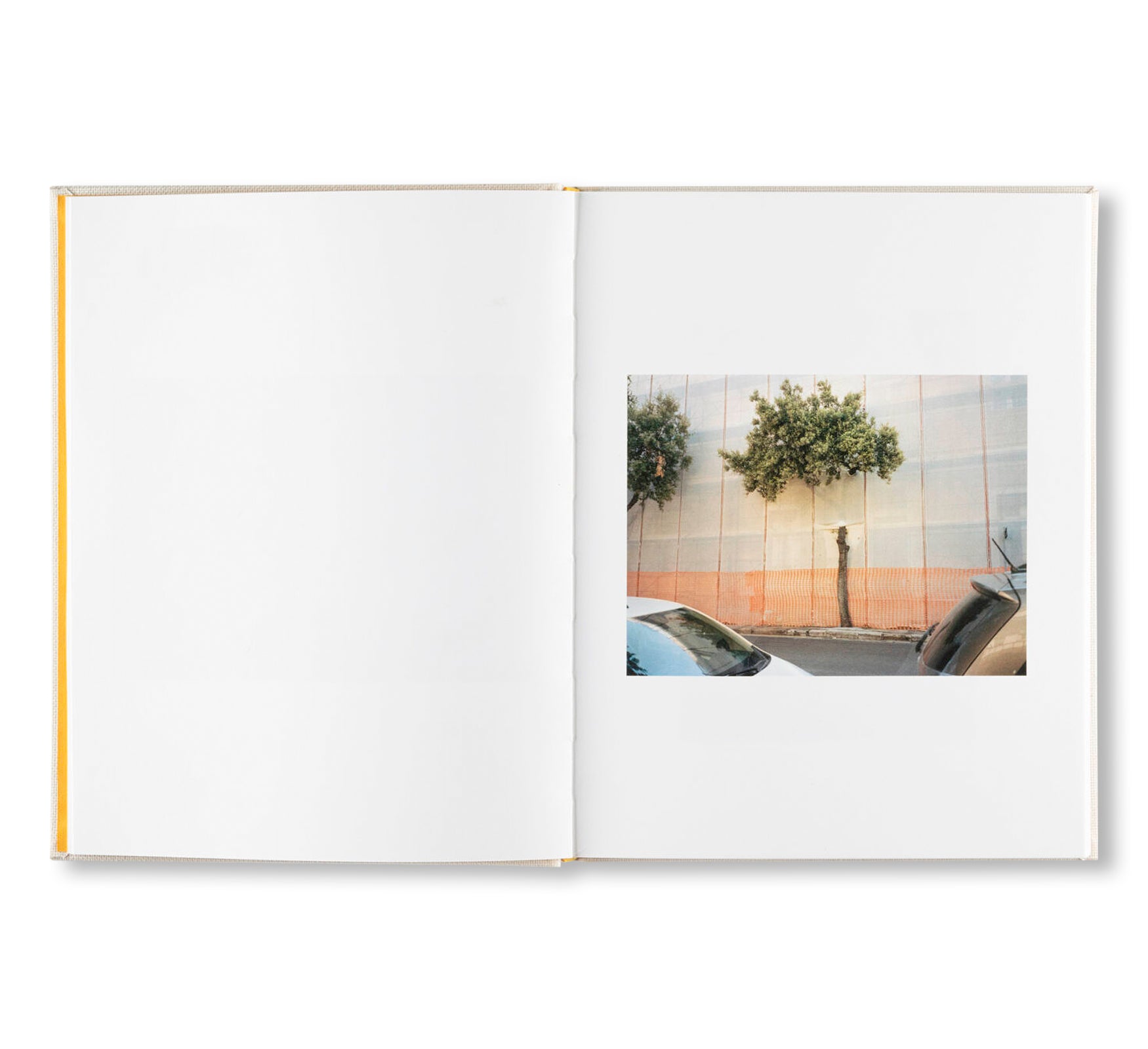 INSIEME by Irina Rozovsky, Mark Steinmetz