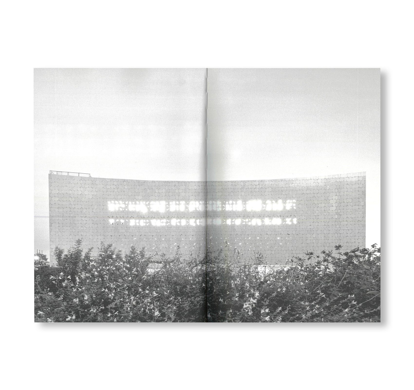 THE LIBRARY - AN OPEN BOOK by Herzog & de Meuron [ENGLISH EDITION]