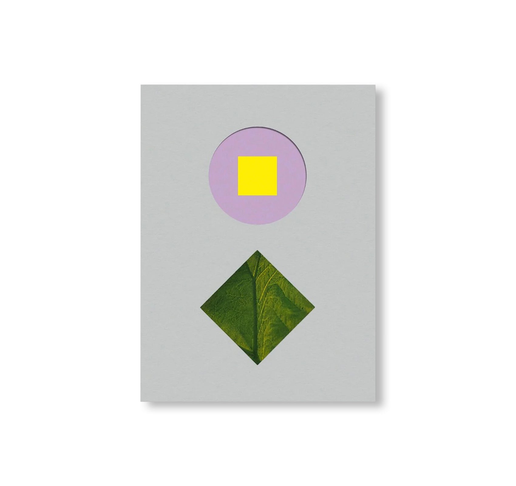 CAROL BOVE by Carol Bove (GUGGENHEIM MUSEUM)