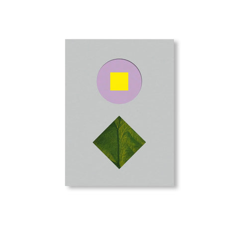 CAROL BOVE by Carol Bove (GUGGENHEIM MUSEUM)
