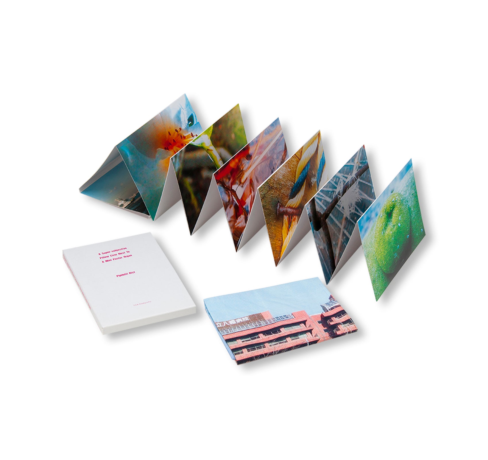 A SUPER-SUBJECTIVE PILLOW CASE NEXT TO A MINI POSTER ORGAN / 超主観的 蛇腹のミニポスターと枕カバー by Pipilotti Rist