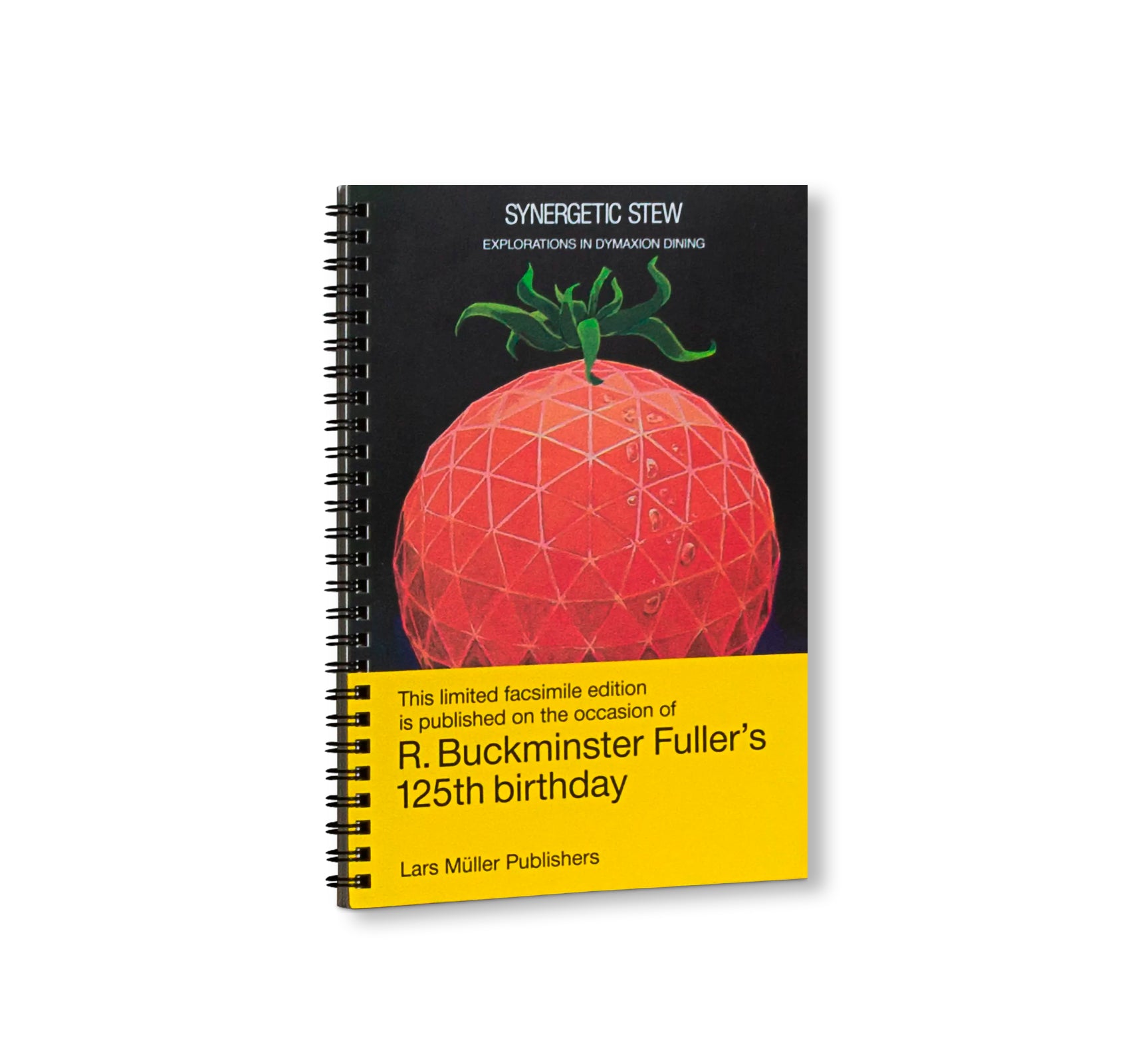 SYNERGETIC STEW: EXPLORATIONS IN DYMAXION DINING [FACSIMILE EDITION]