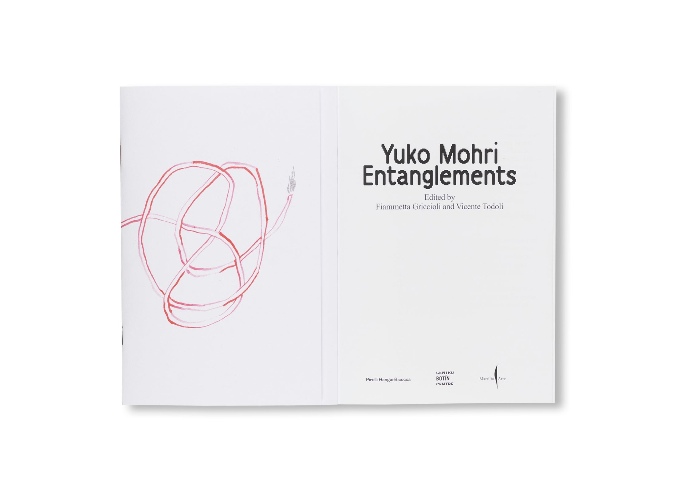 YUKO MOHRI: ENTANGLEMENTS by Yuko Mohri