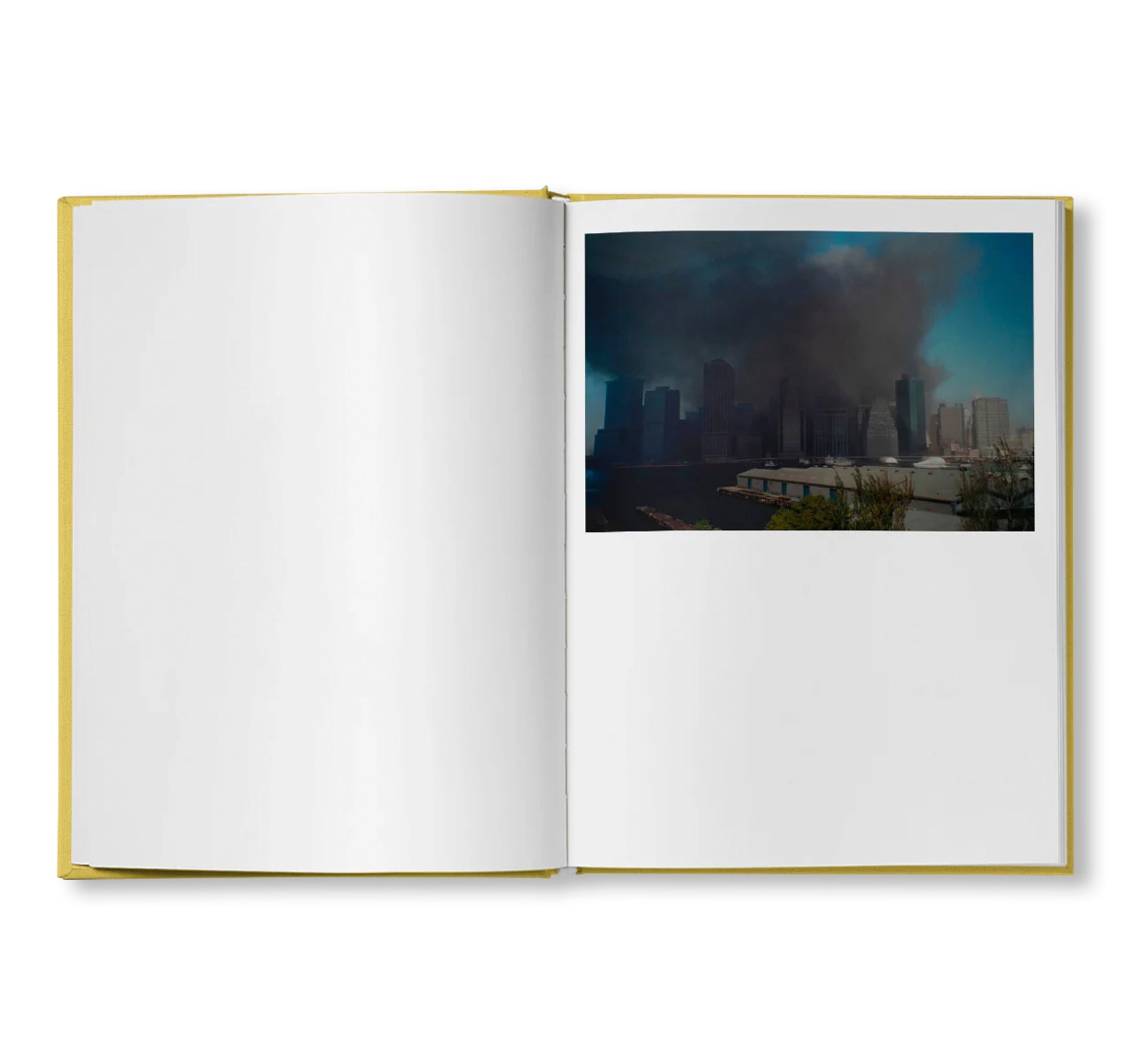 IRREVERSIBLE ORDER by Lisa Donneson