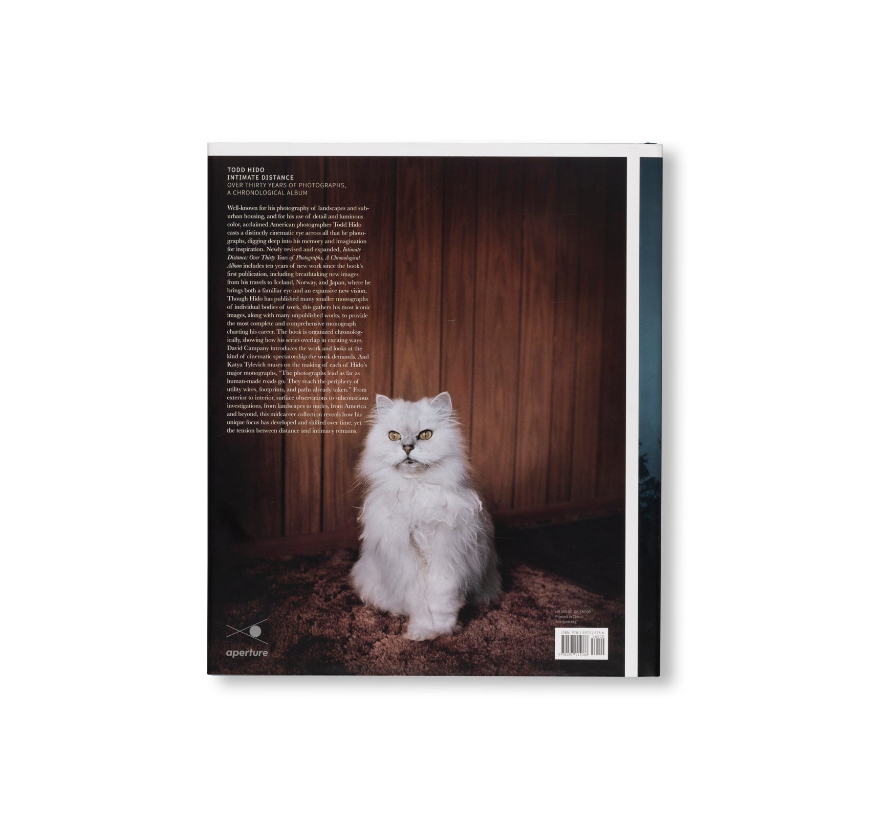 INTIMATE DISTANCE: OVER THIRTY YEARS OF PHOTOGRAPHS, A CHRONOLOGICAL ALBUM  by Todd Hido [REVISED AND EXPANDED EDITION]