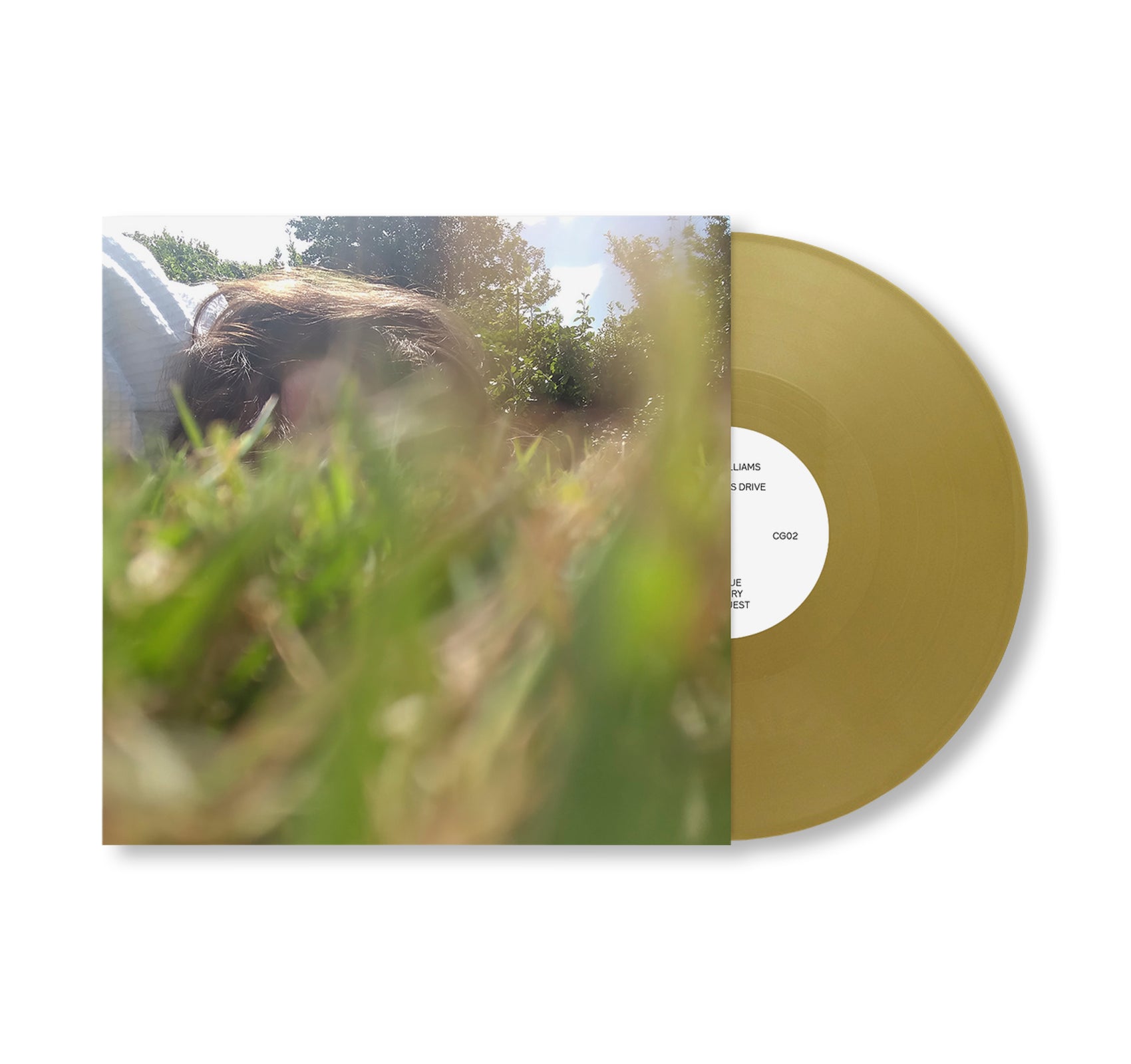 CG02: ANGHARAD WILLIAMS - NOW WATCH THIS DRIVE by Angharad Williams [LP]