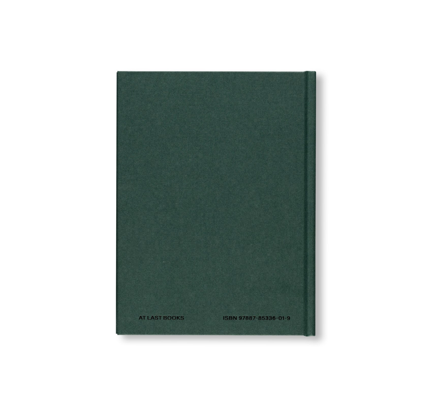 ANDERS BRINCH THE INNER LANDSCAPE by Lars Schwander