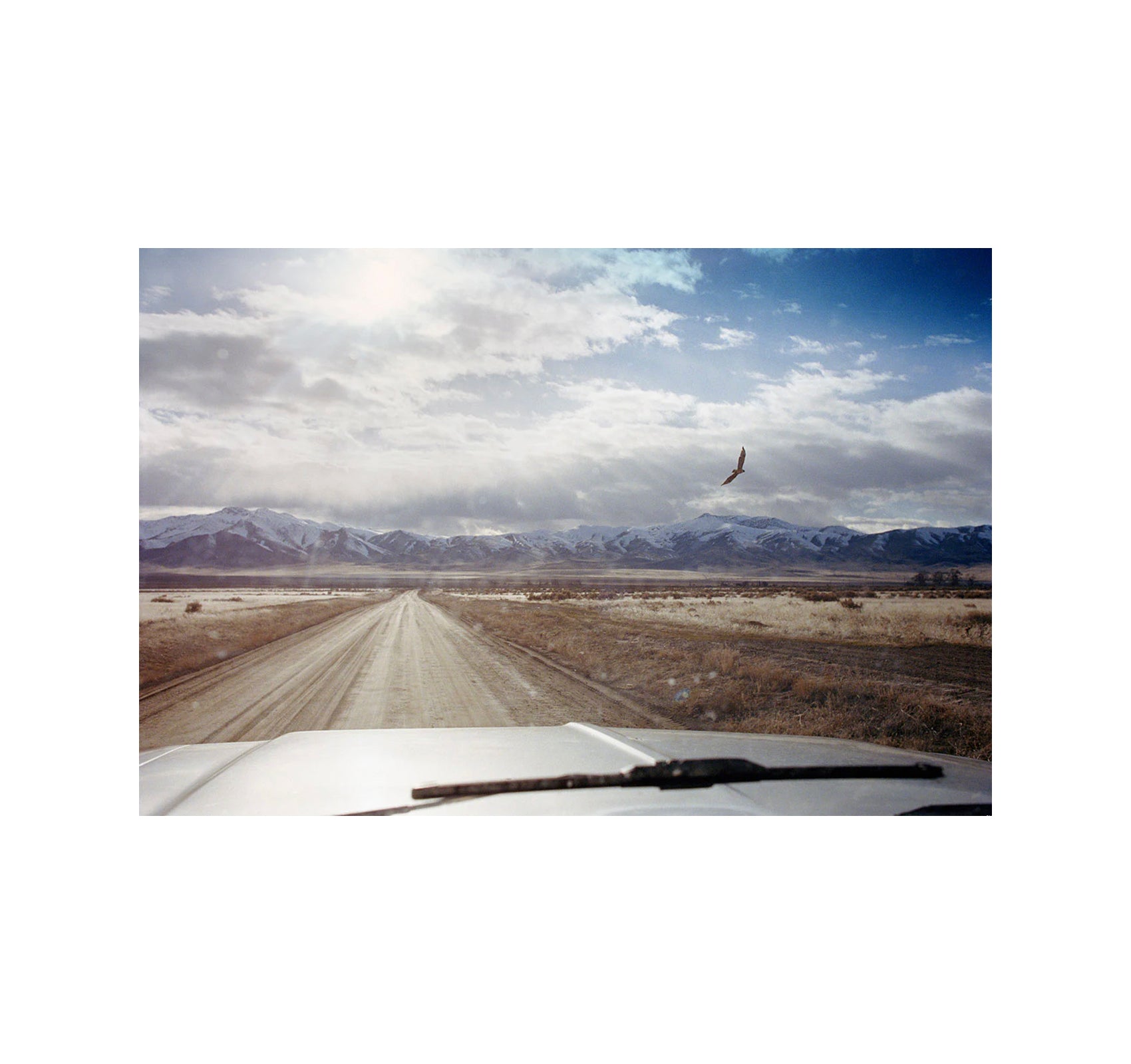 FAILING by Mike Brodie