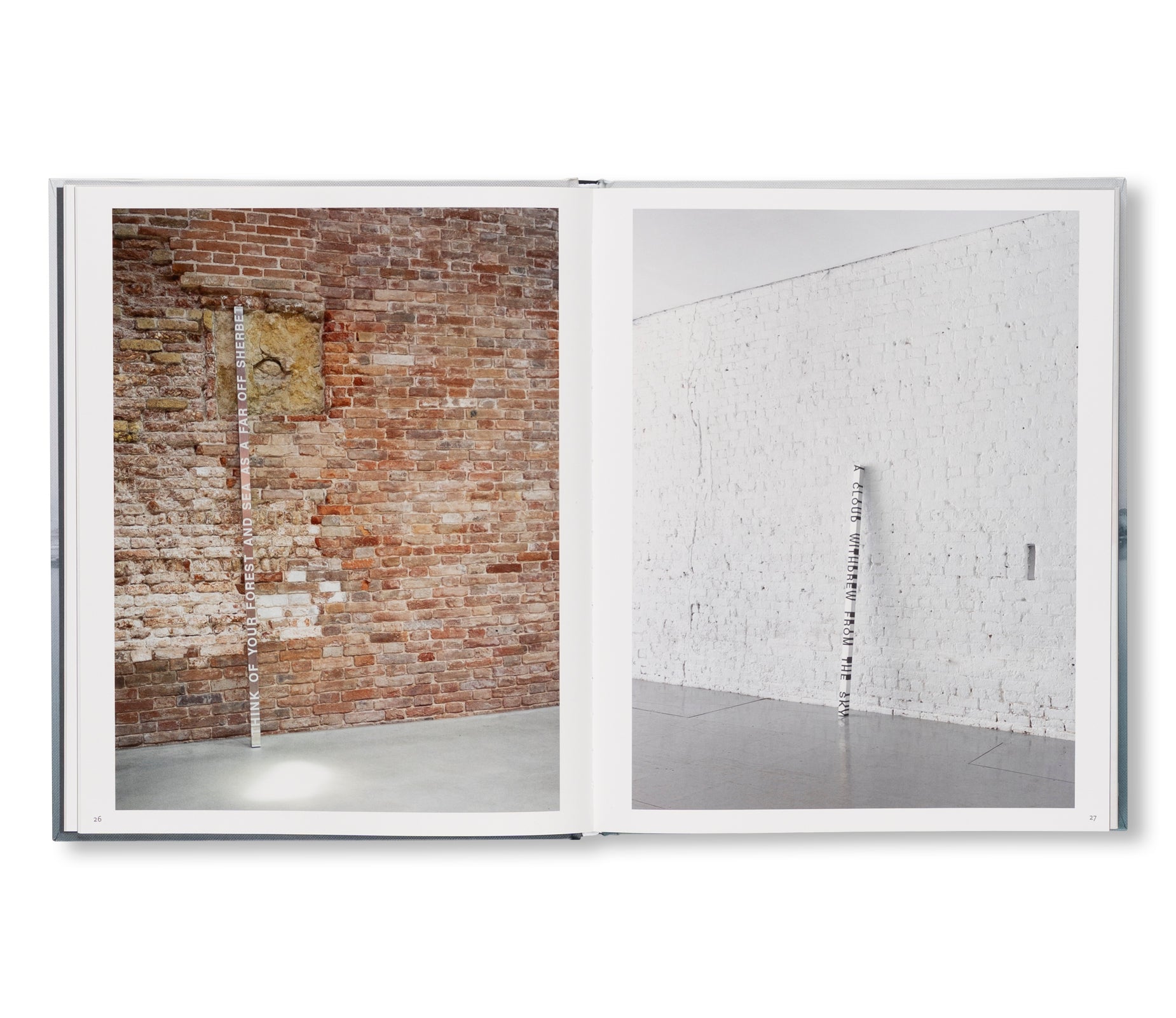 RONI HORN: WATER WATER ON THE WALL, YOU’RE THE FAIREST OF THEM ALL by Roni Horn