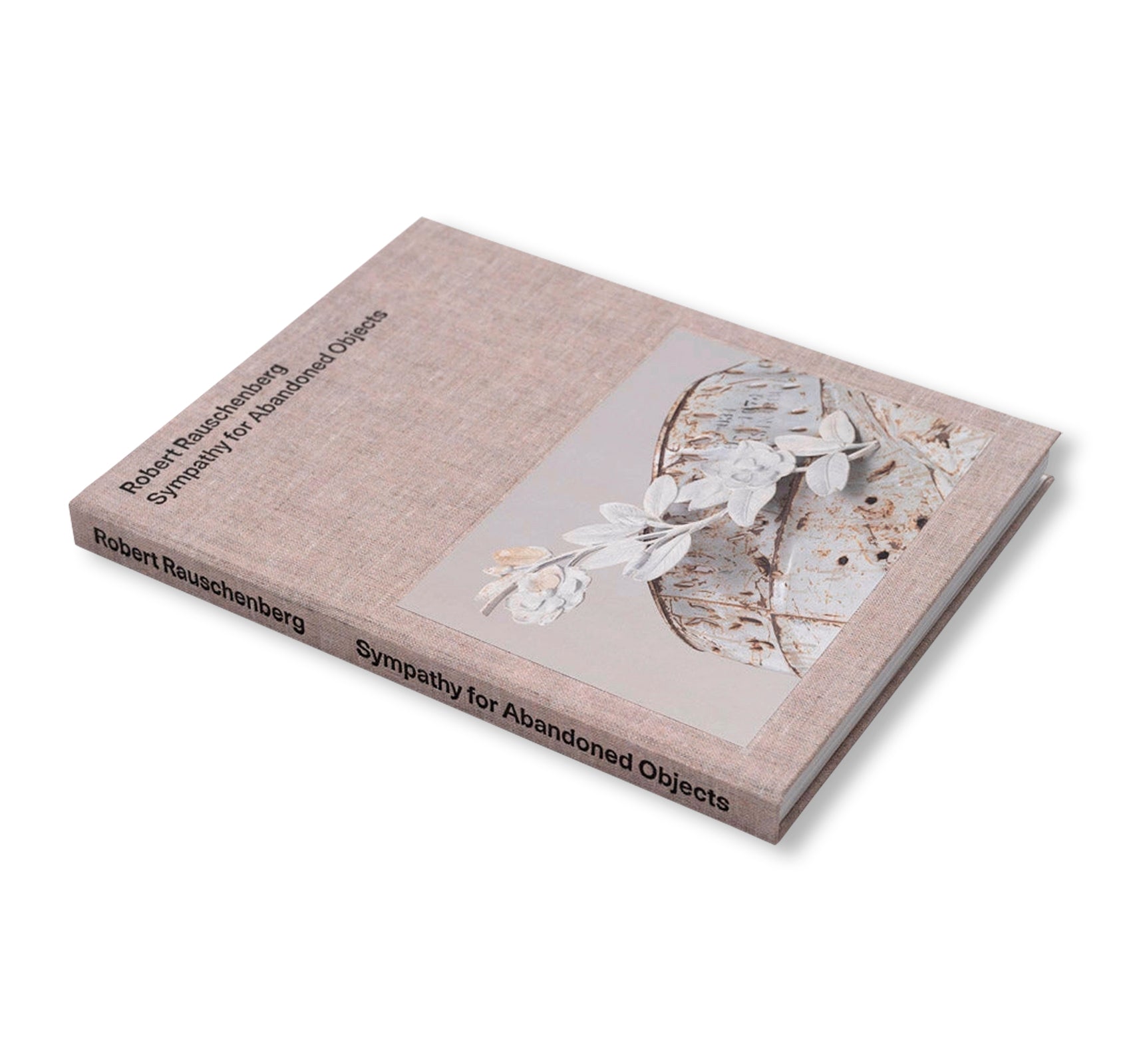 SYMPATHY FOR ABANDONED OBJECTS by Robert Rauschenberg
