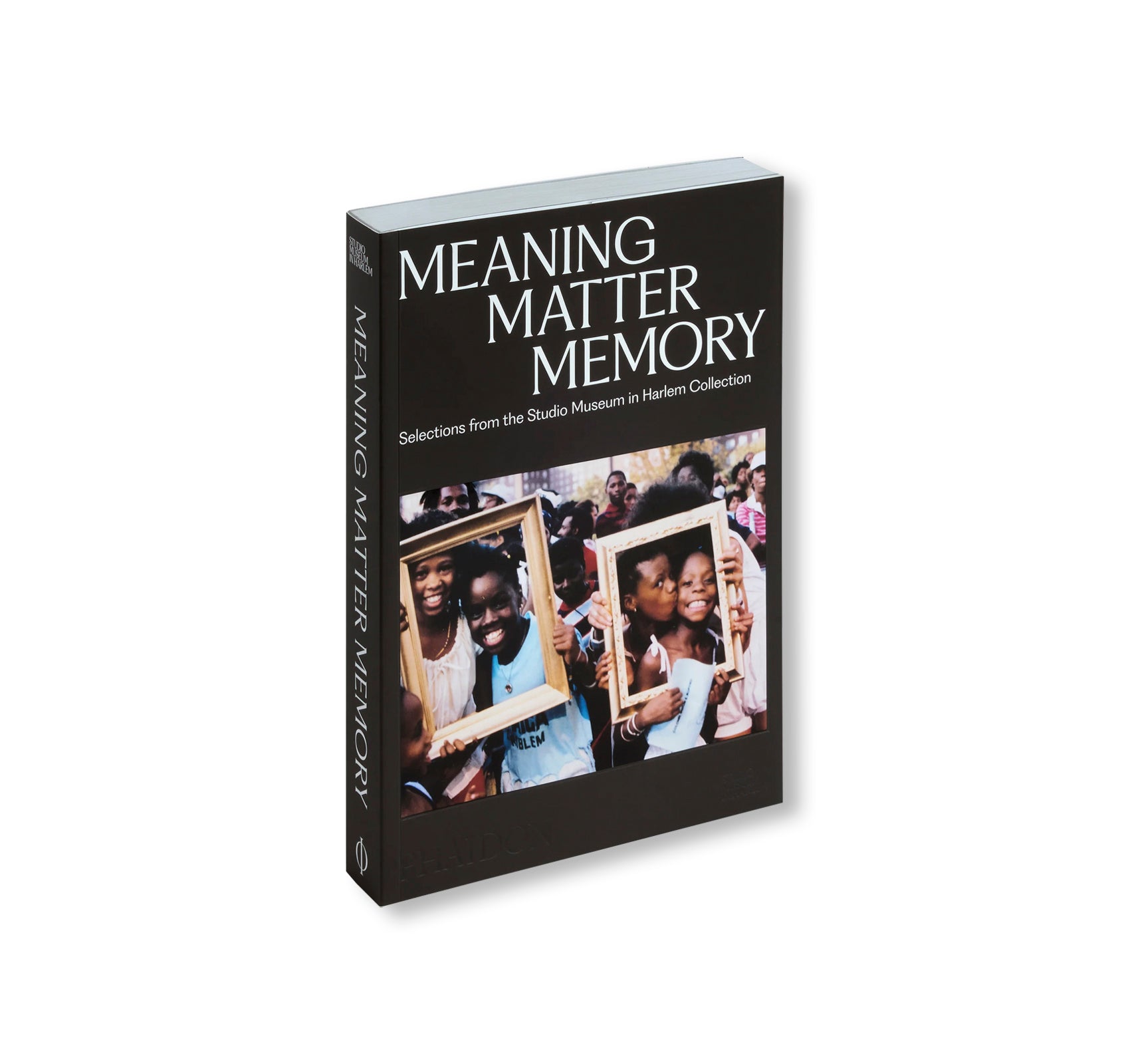 MEANING MATTER MEMORY: SELECTIONS FROM THE STUDIO MUSEUM IN HARLEM COLLECTION