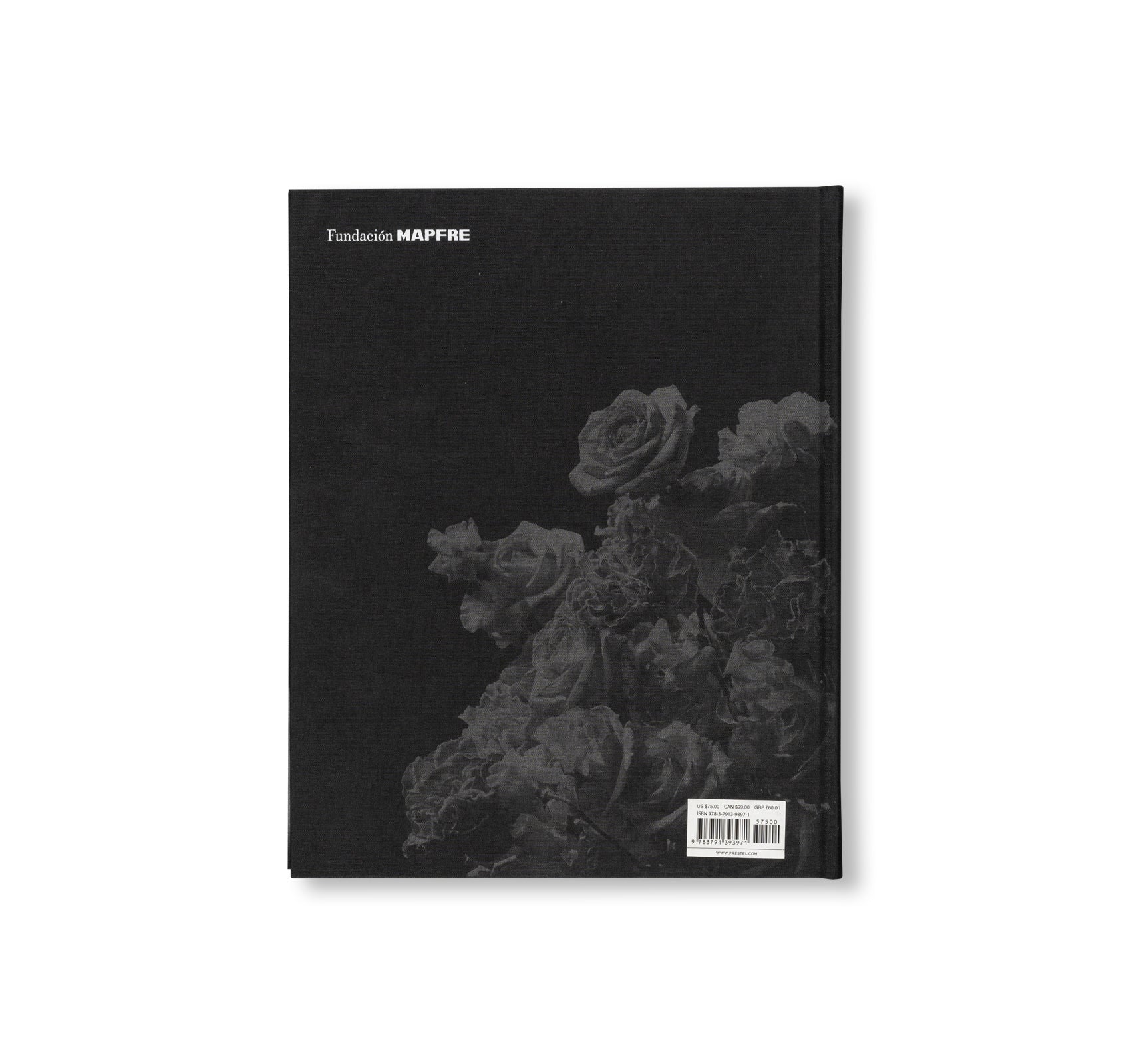 SAKIKO NOMURA: TENDER IS THE NIGHT by Sakiko Nomura