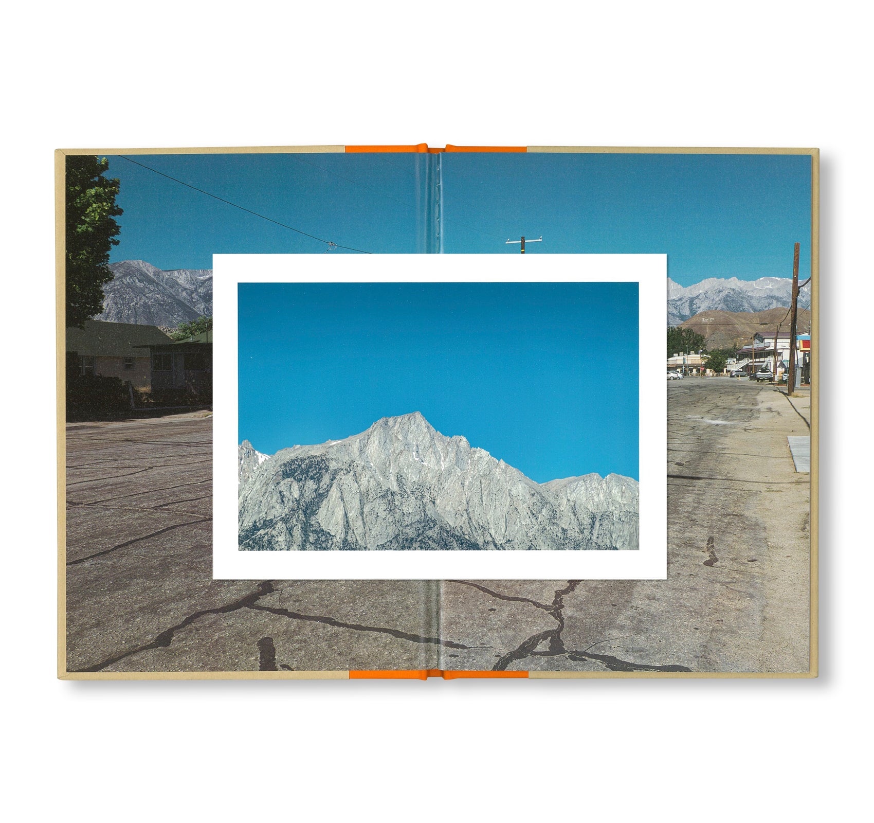 ONE PICTURE BOOK TWO #52: LONE PINE by Toshio Shibata