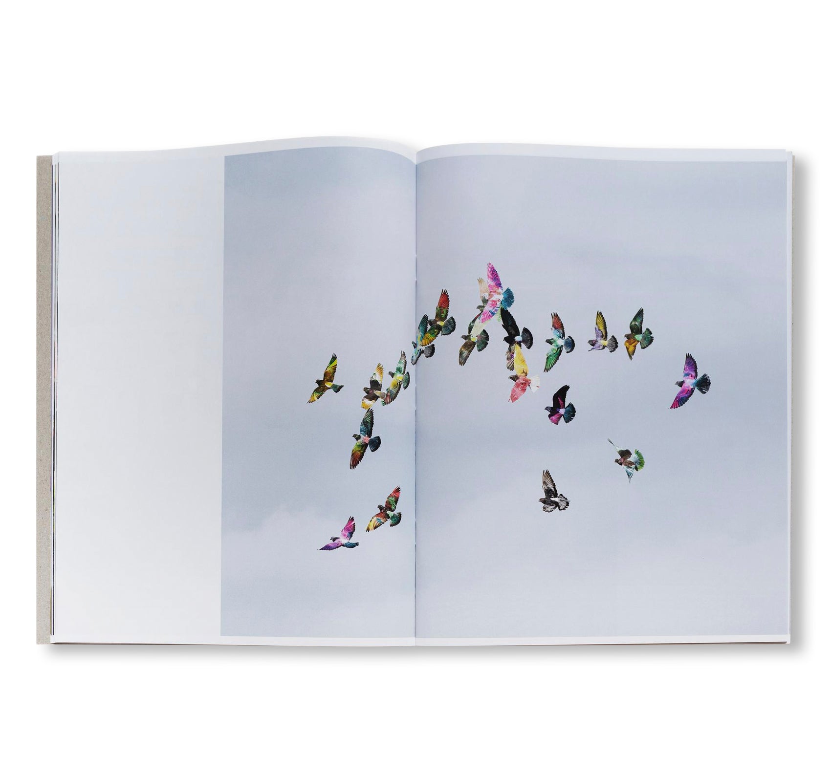 PICADERO by Carlos Jaramillo