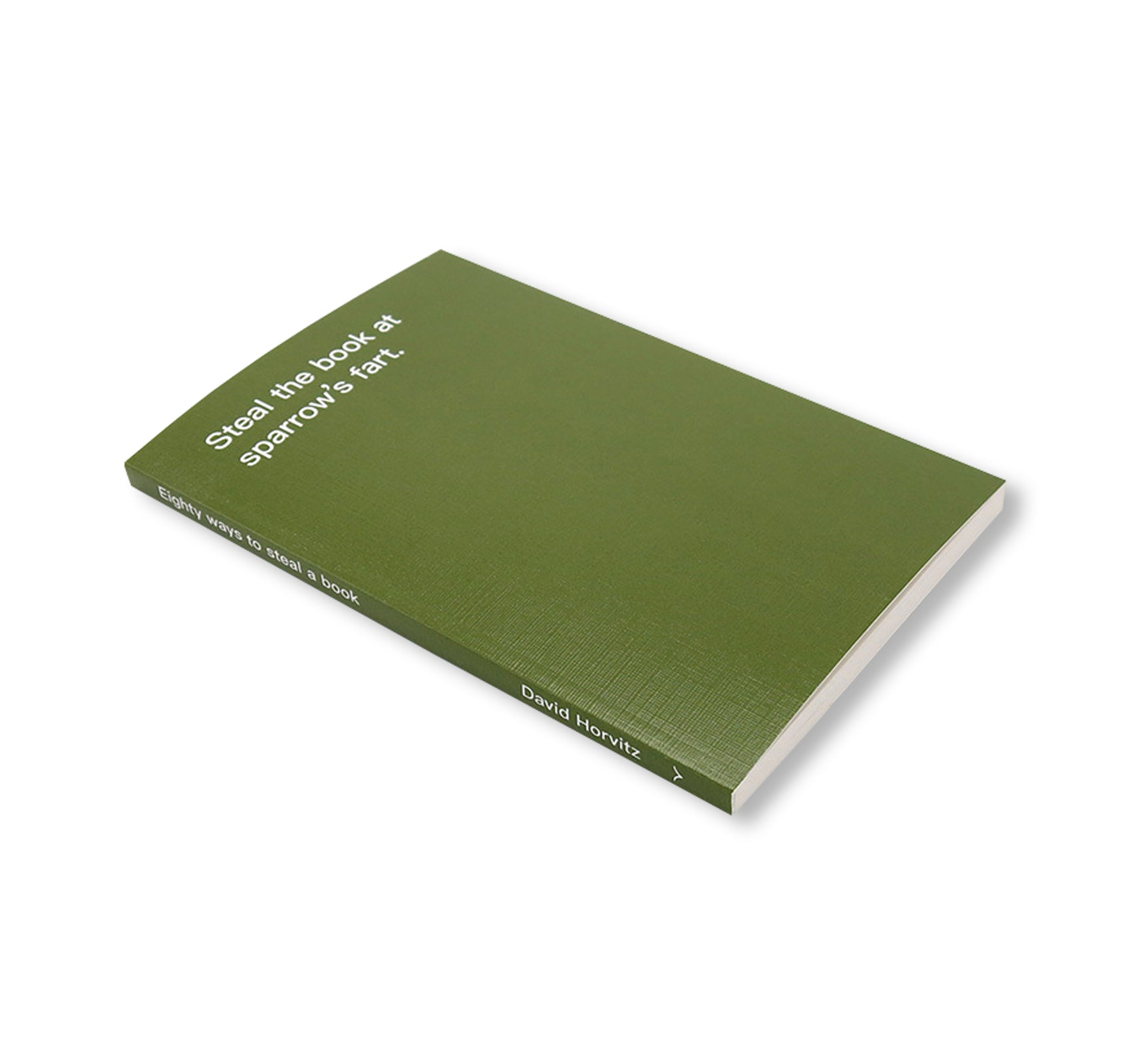 EIGHTY WAYS TO STEAL A BOOK by David Horvitz