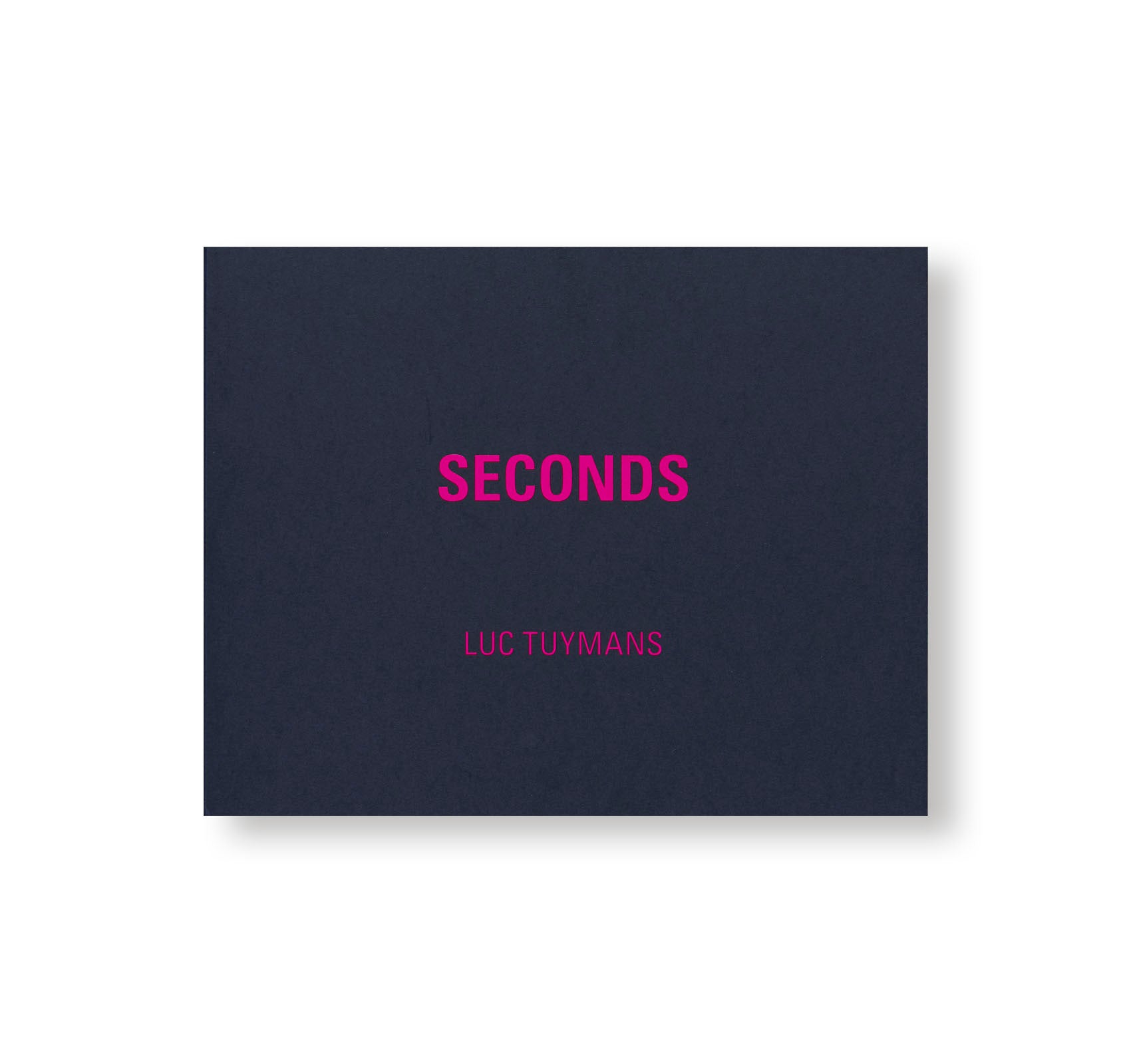 SECONDS by Luc Tuymans