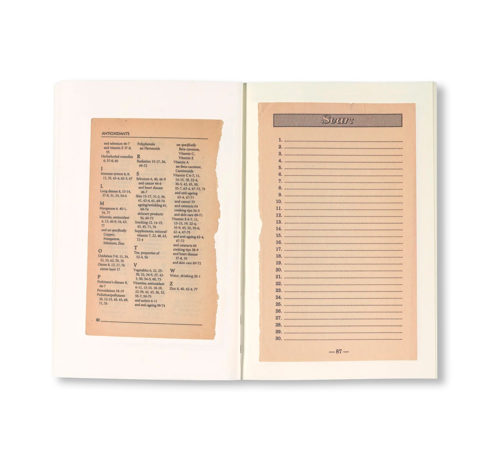 LAST PAGES by Rahel Zoller