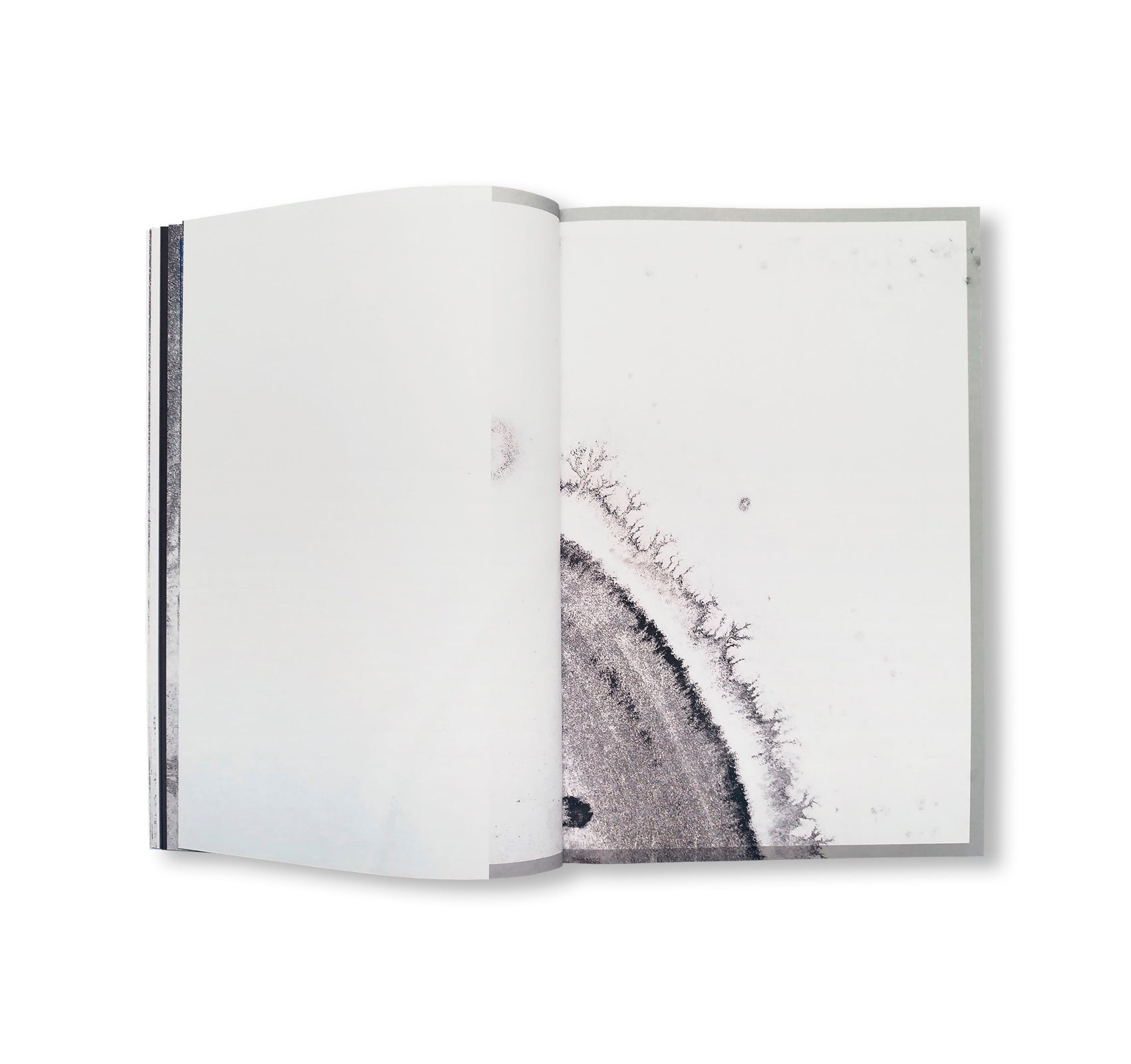 H.A.D. – [HALF A DOG] by Johannes Tassilo Walter