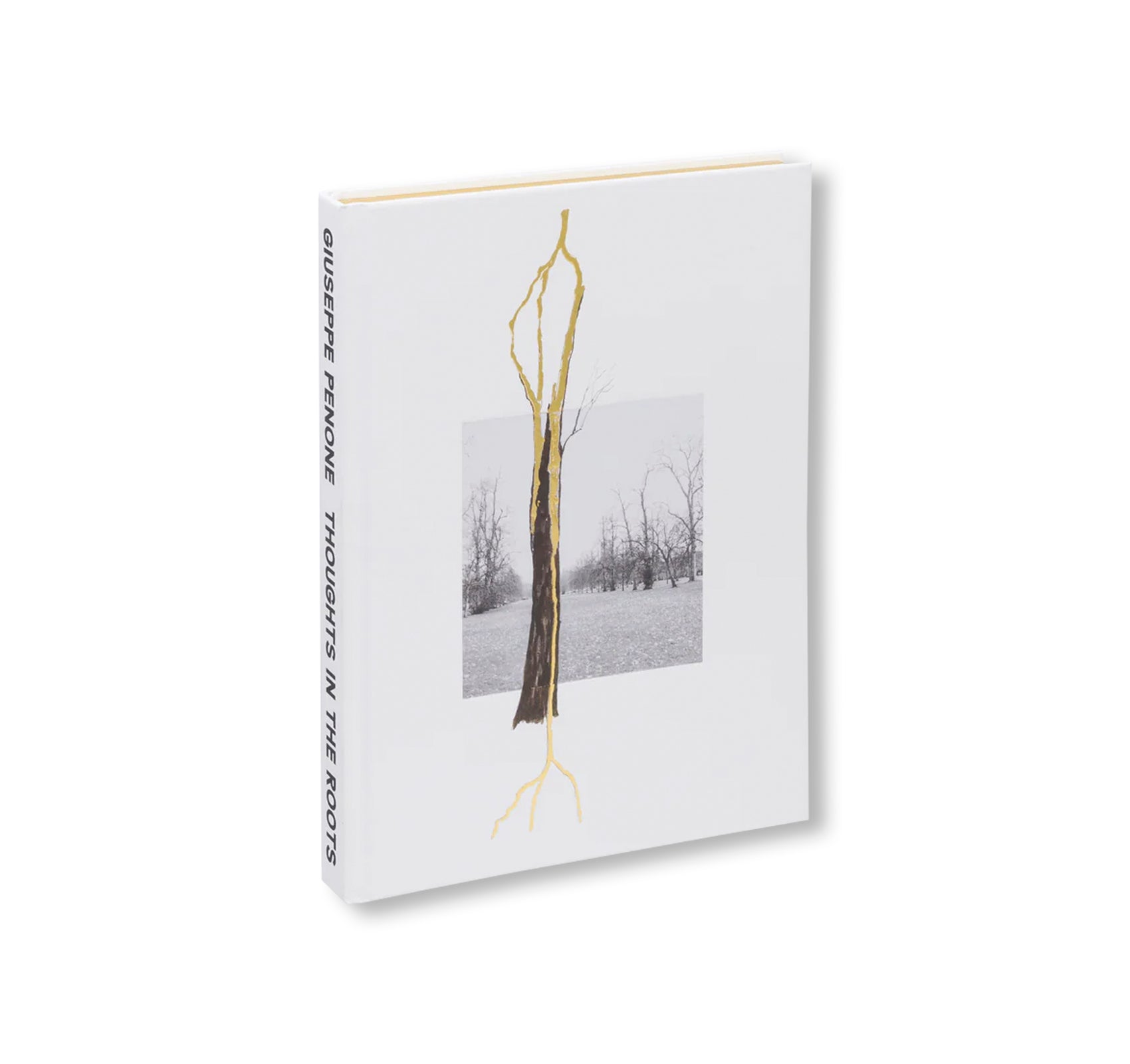 GIUSEPPE PENONE: THOUGHTS IN THE ROOTS by Giuseppe Penone