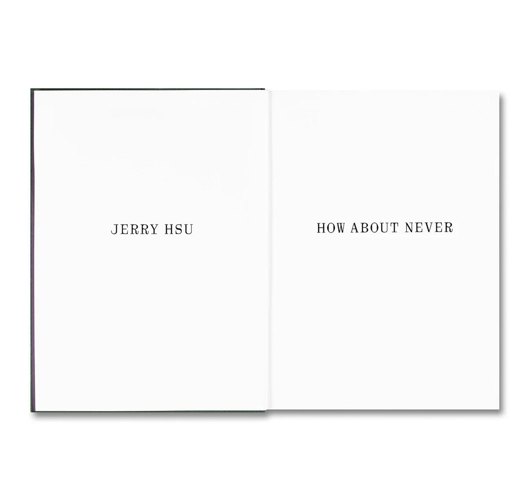 HOW ABOUT NEVER by Jerry Hsu