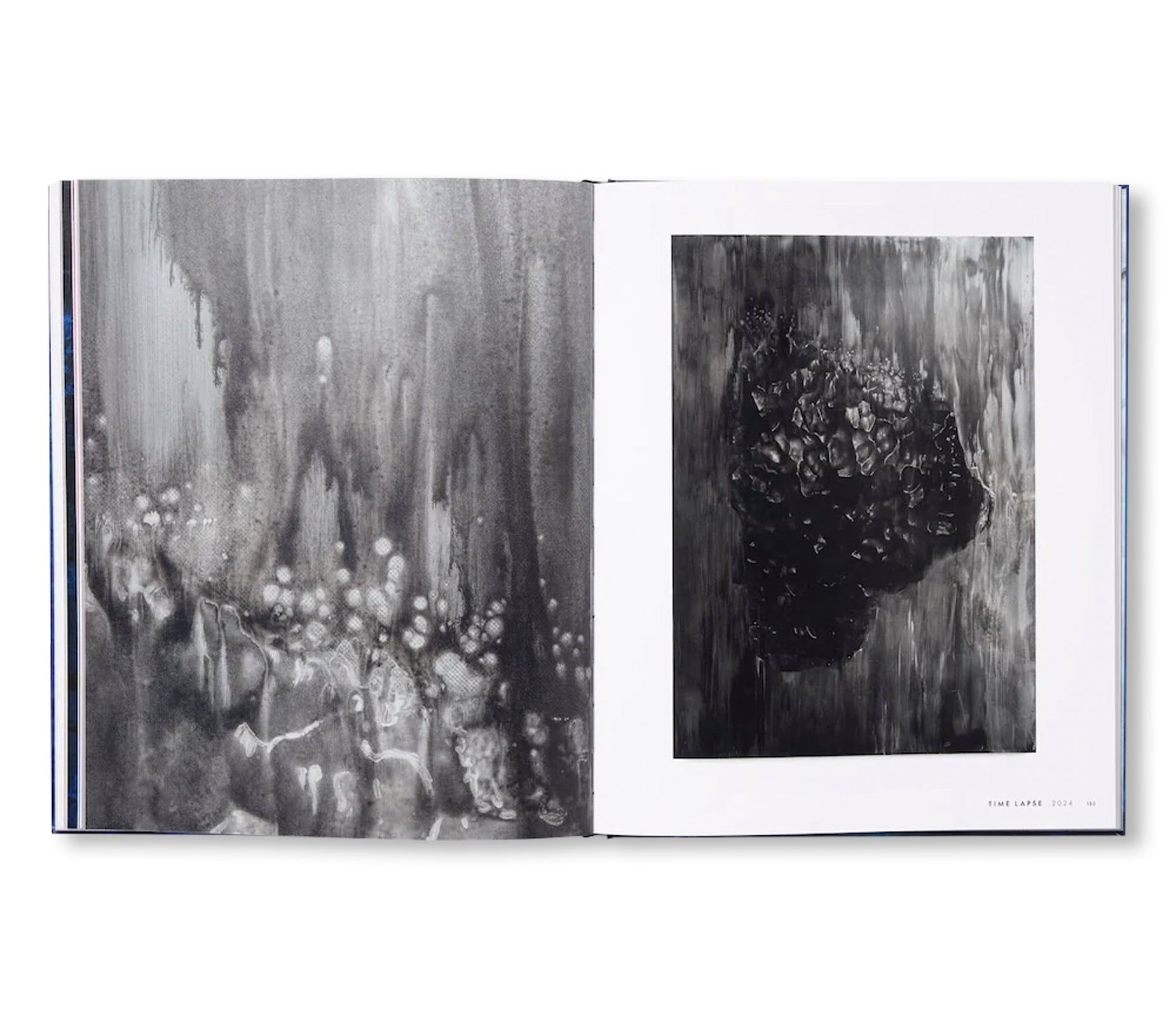 SOURCE NOTES by Lorna Simpson