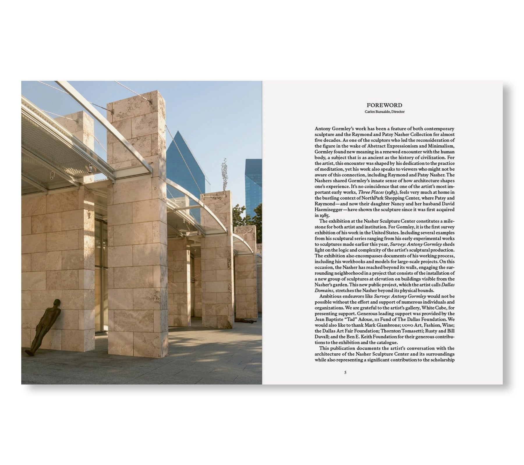 SURVEY by Antony Gormley