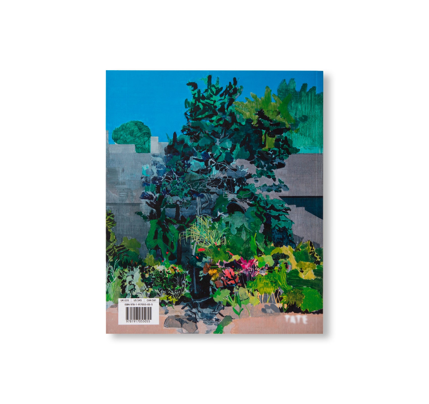 HURVIN ANDERSON by Hurvin Anderson (TATE PUBLISHING)