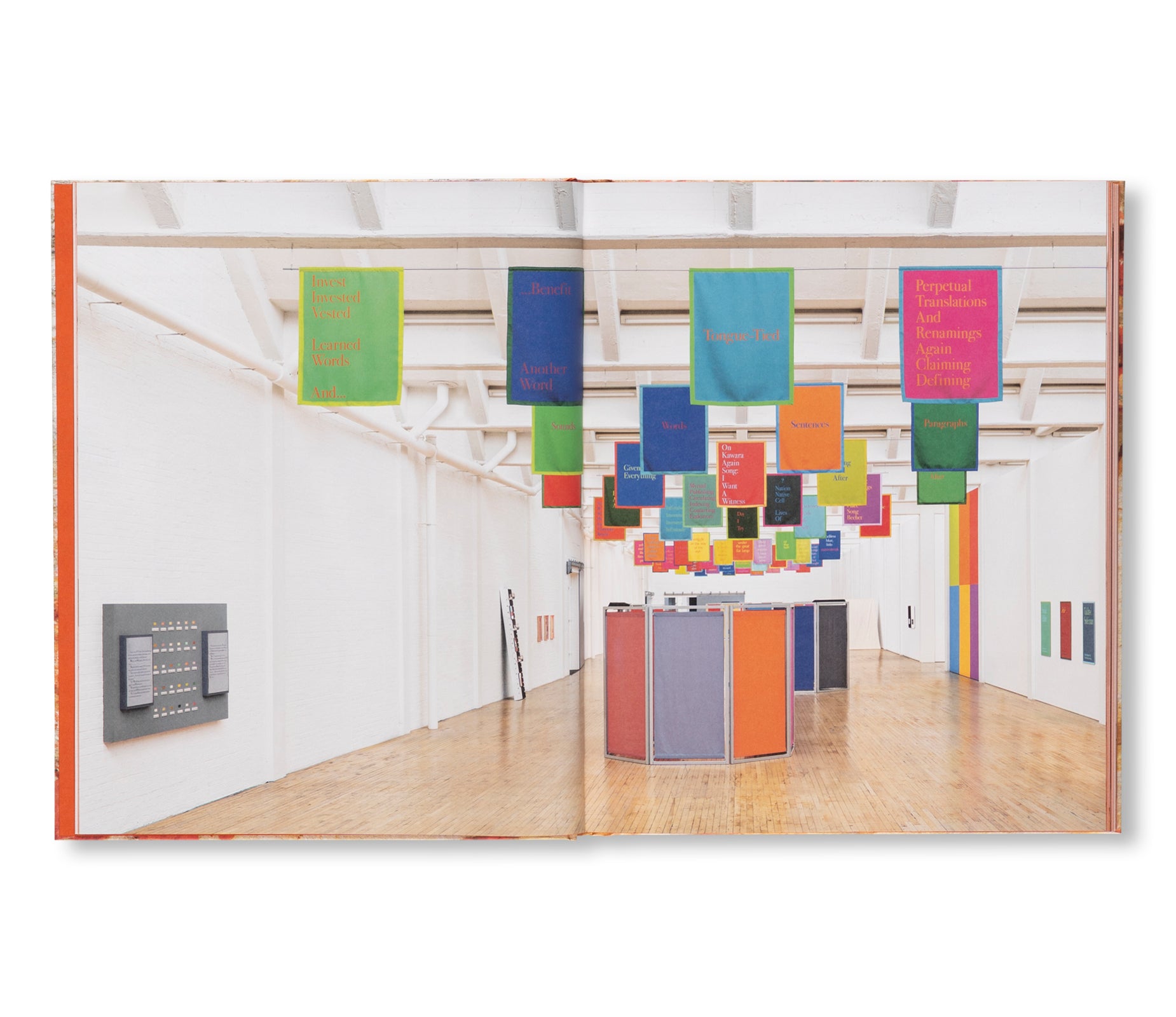 THE EQUATOR HAS MOVED by Renée Green