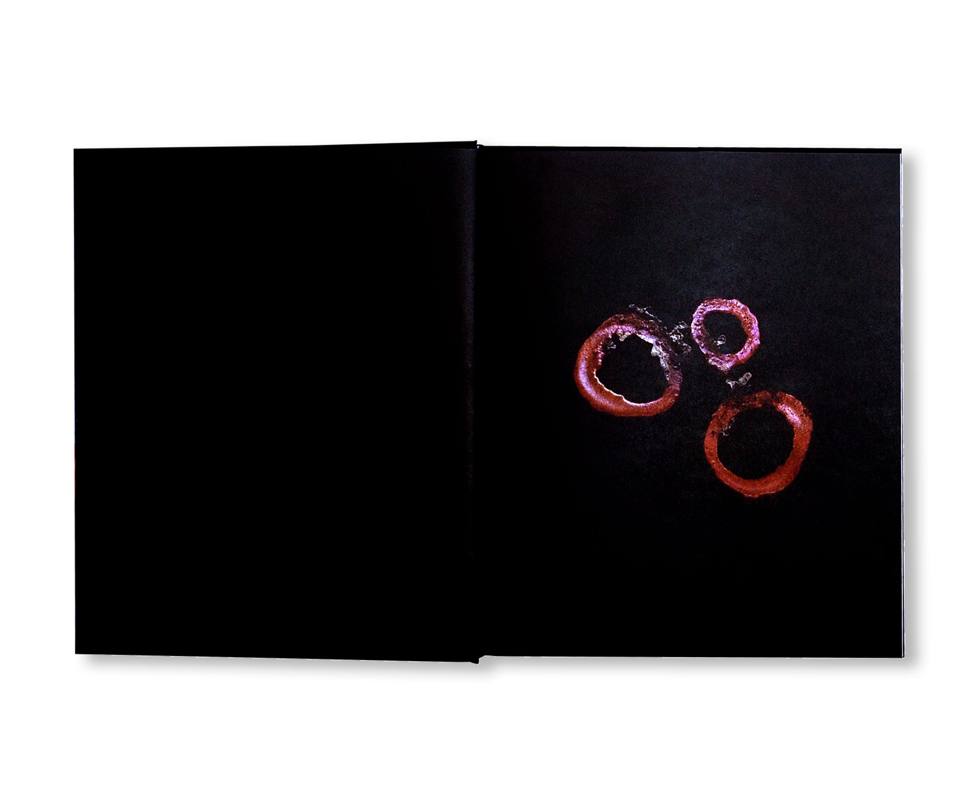 SOLANGE PESSOA (2023) by Solange Pessoa