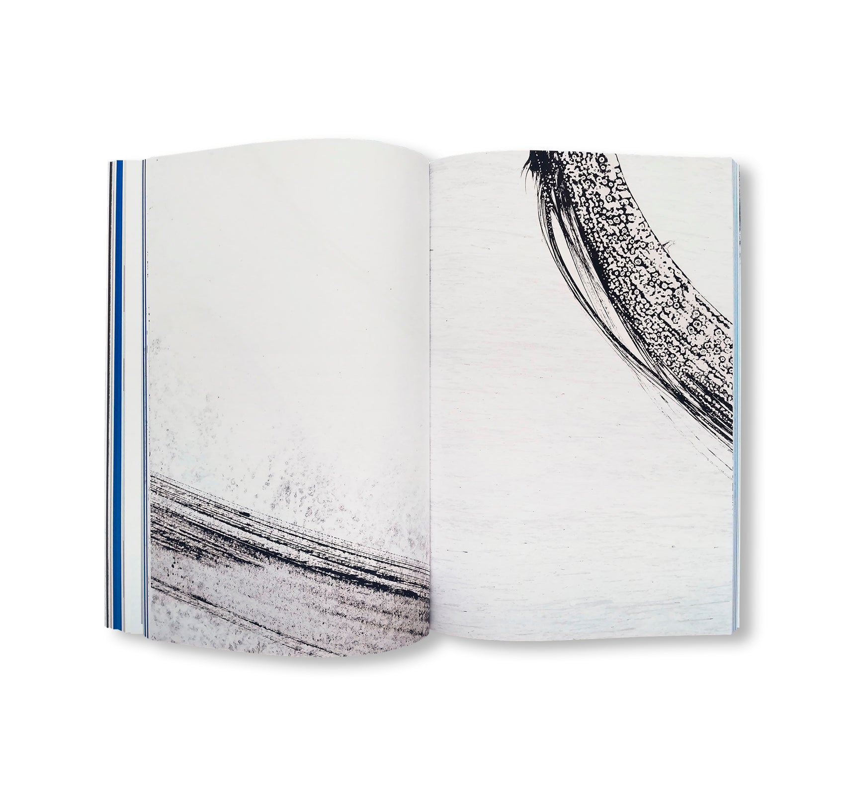 H.A.D. – [HALF A DOG] by Johannes Tassilo Walter