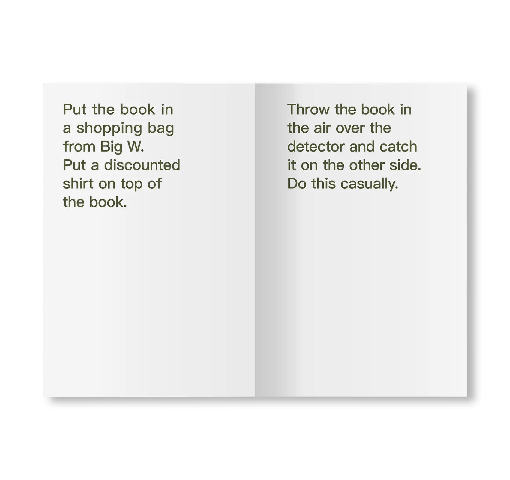 EIGHTY WAYS TO STEAL A BOOK by David Horvitz