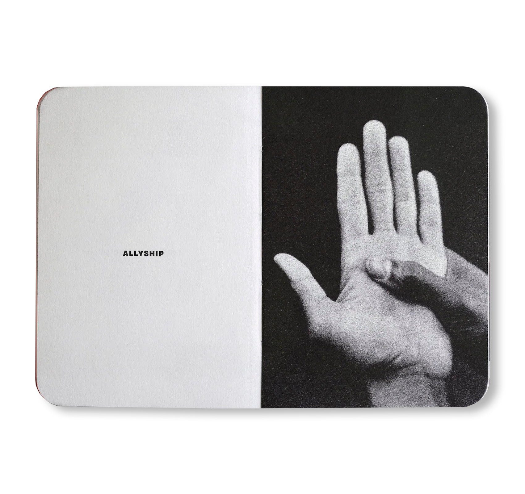 THE SMALL BOOK OF ENDANGERED GESTURES by Bruce Eesly