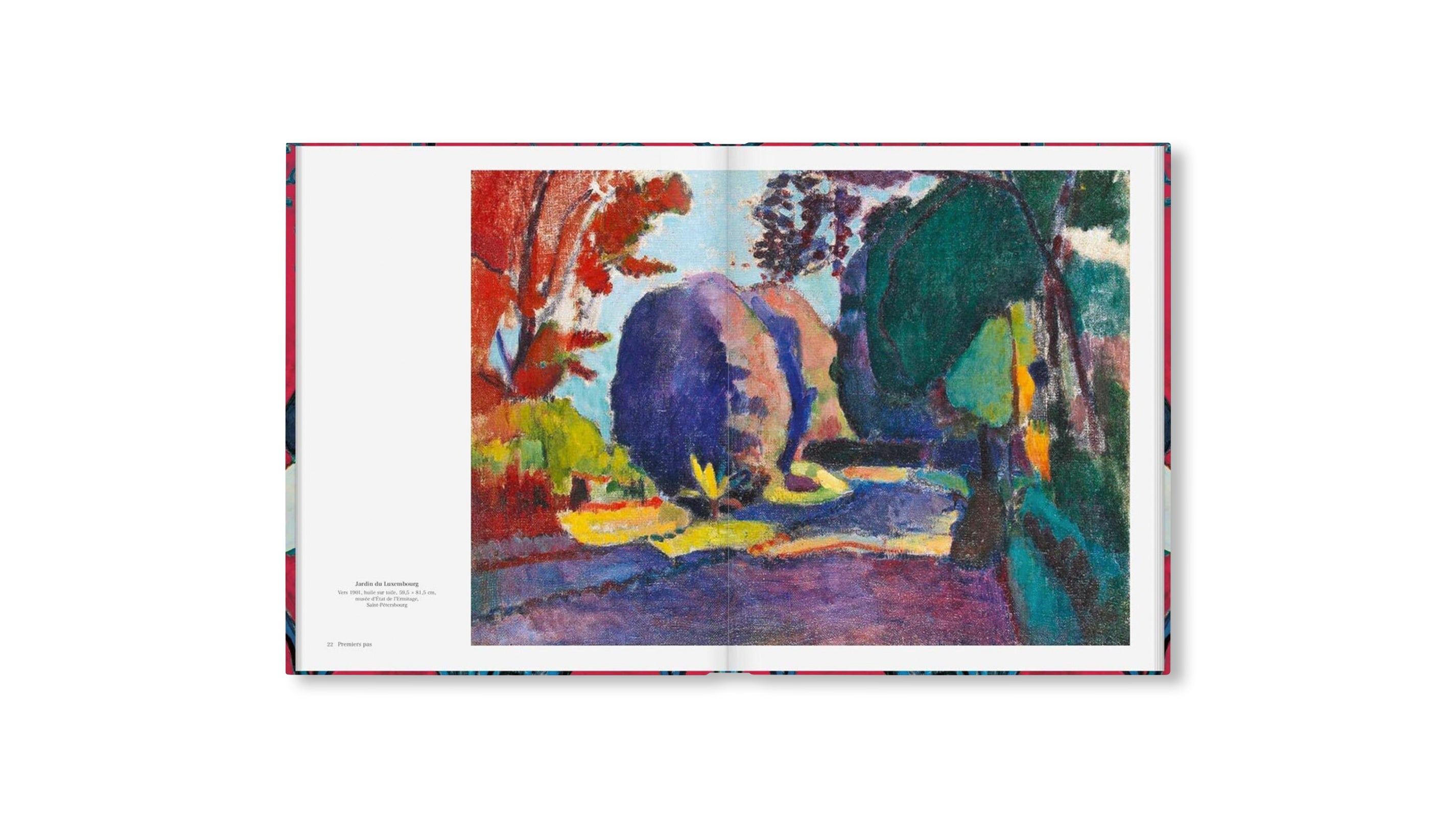 MATISSE - THE BIGGER PICTURE by Anne Sefrioui