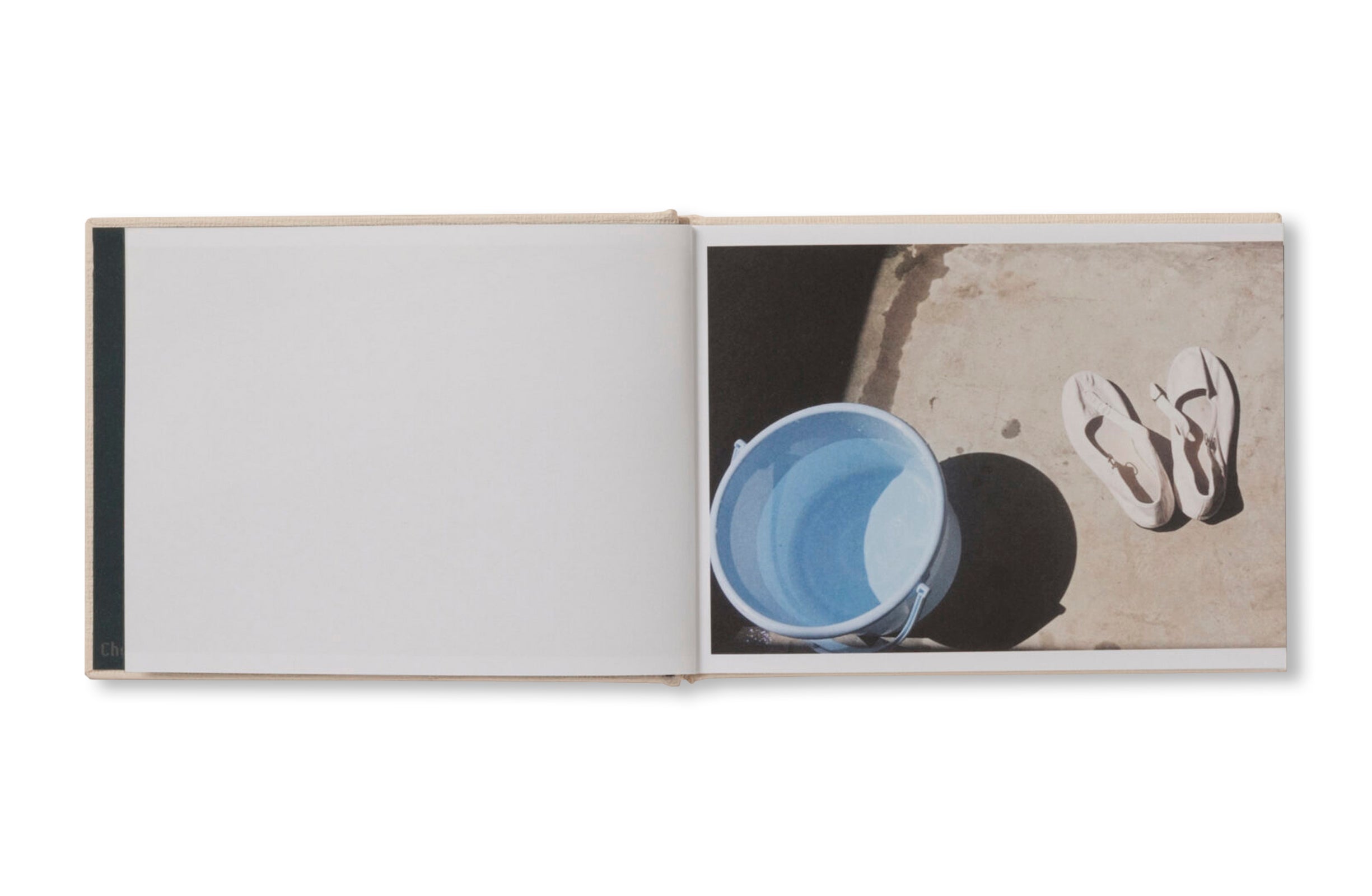 SCREENSHOTS FROM A SERIES OF VIDEOS ABOUT A RICE FIELD AND ITS SURROUNDINGS by Cintia Tortosa Santisteban