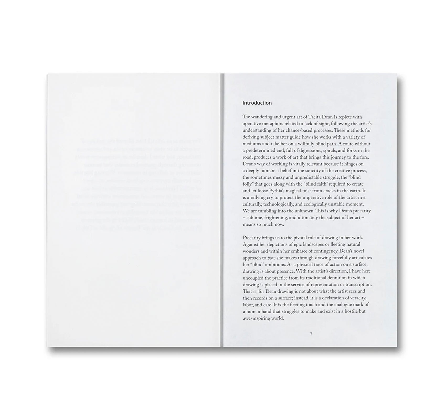 BLIND FOLLY OR HOW TACITA DEAN DRAWS by Michelle White, Tacita Dean