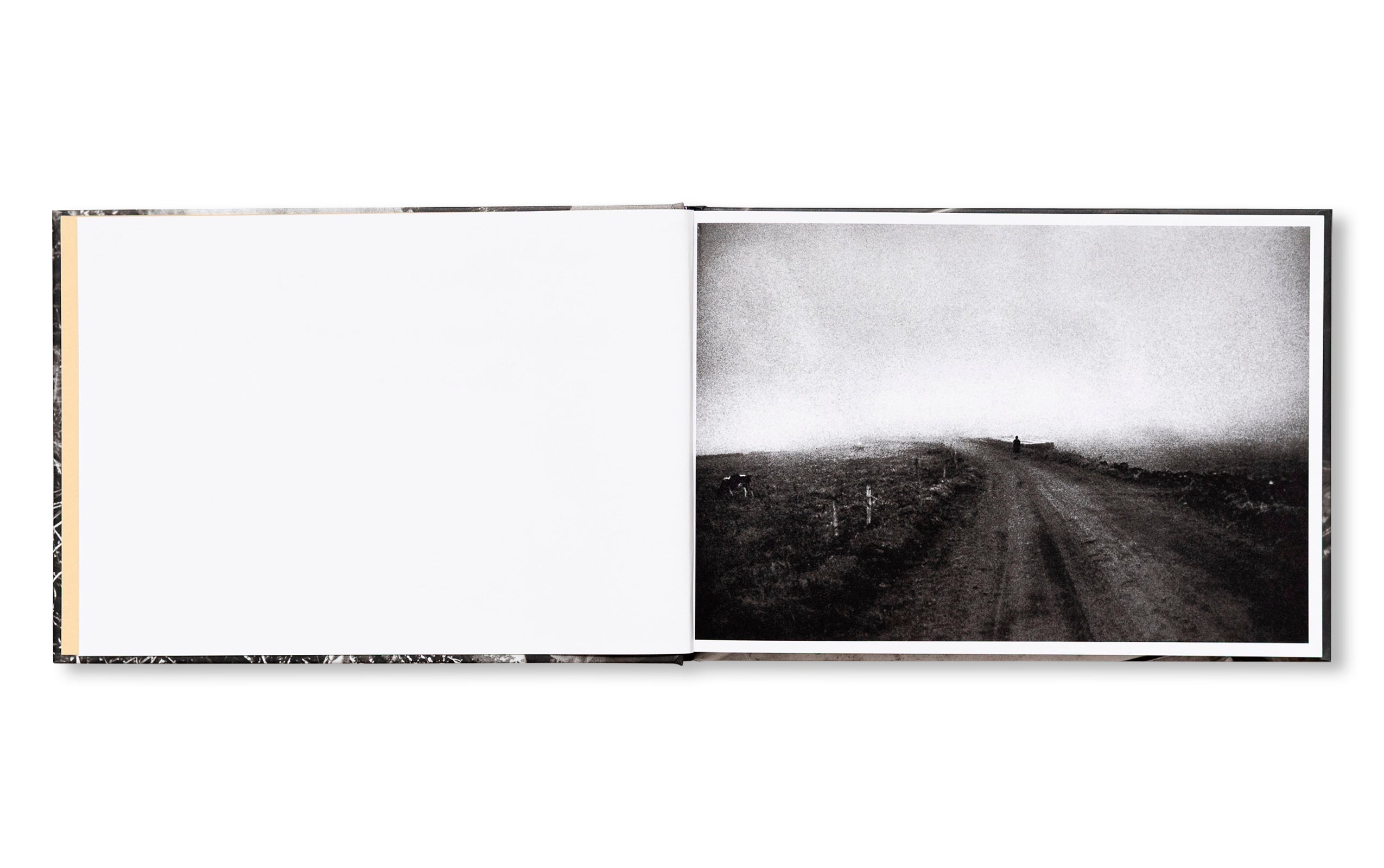 IN THE FLAP OF A BIRD'S WING, WATER DRIES UP by Eriko Masaoka