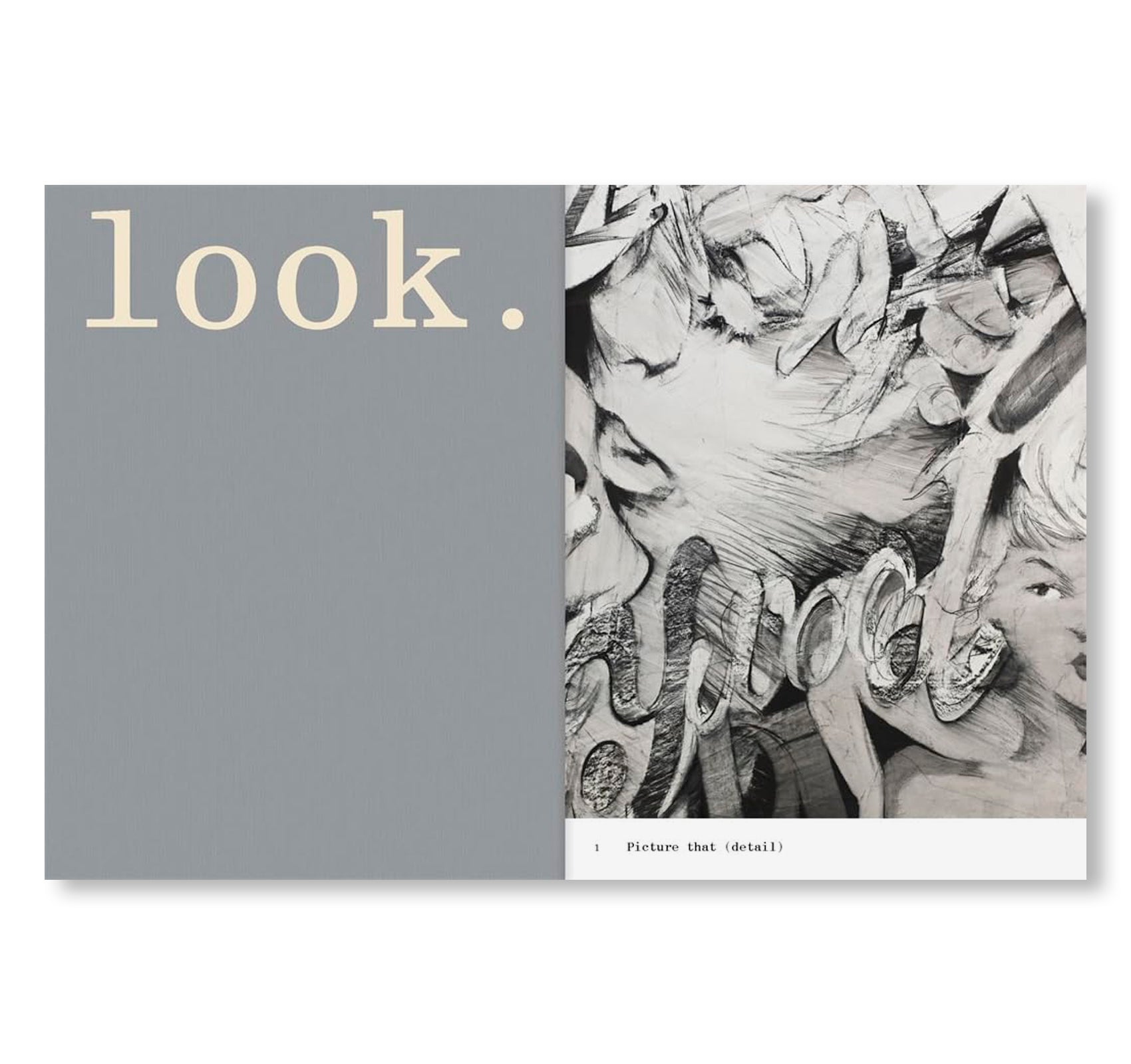 LOOK, LOOK. by Anna Park