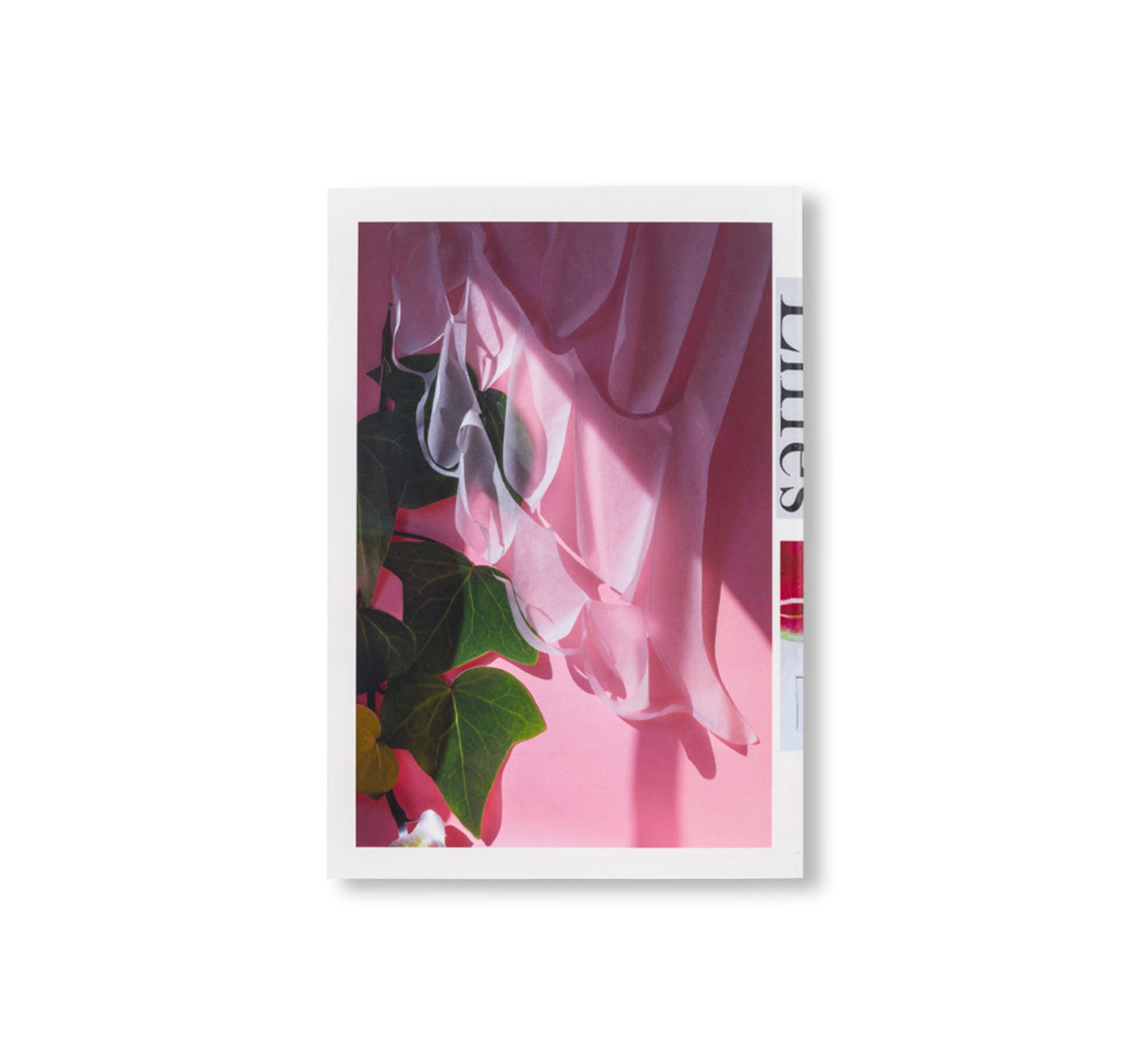 LILIES by David Gilbert