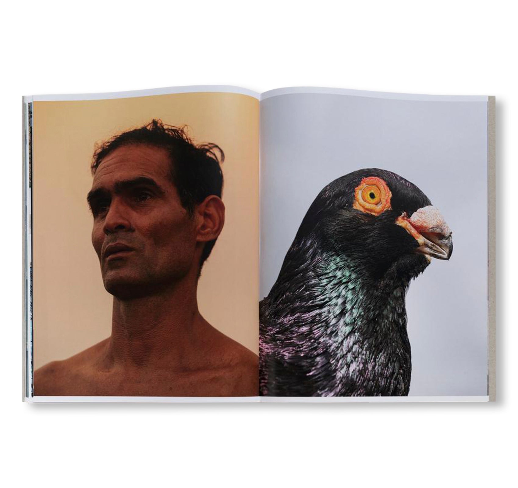 PICADERO by Carlos Jaramillo