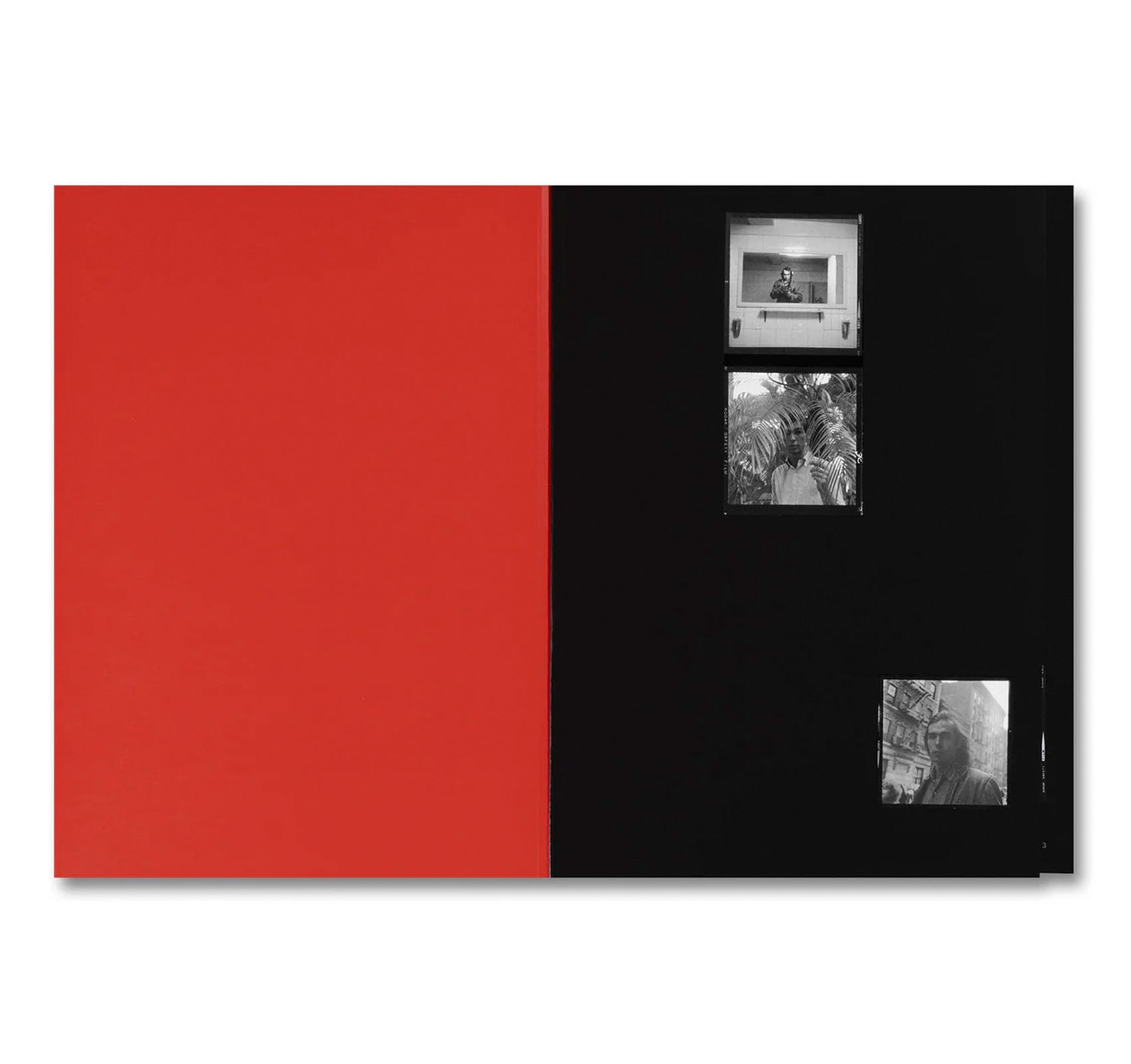 HUJAR: CONTACT by Peter Hujar