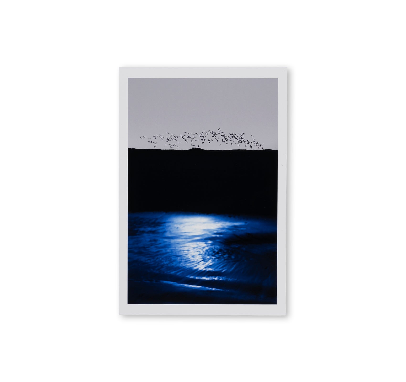 SEQUENCES by Yuichiro Noda [SPECIAL EDITION]