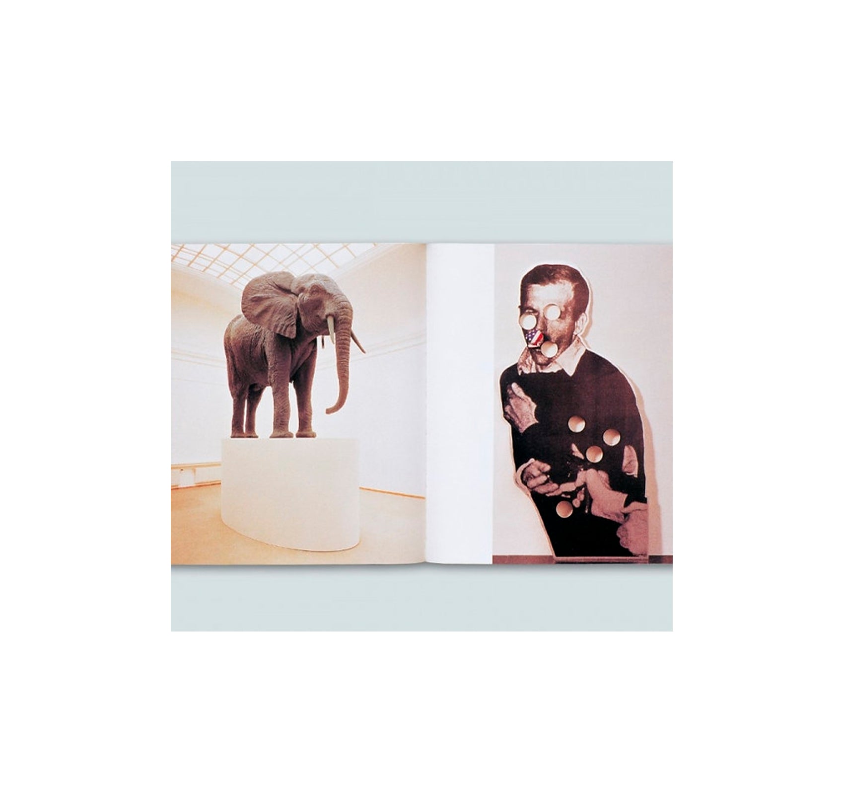 LUPETTO, PILOT ISSUE by Maurizio Cattelan