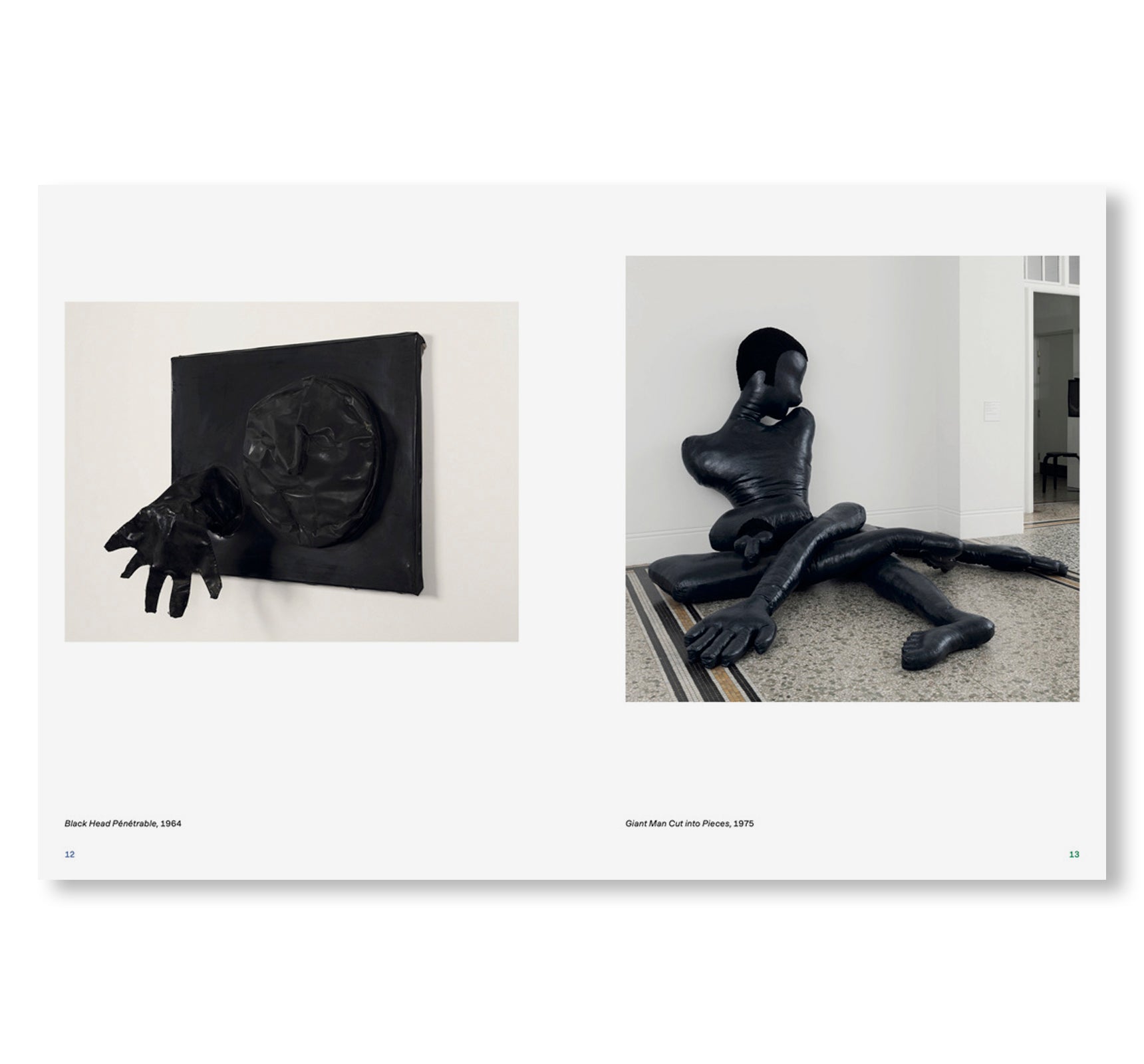 I AM THE LAST WOMAN OBJECT by Nicola L.