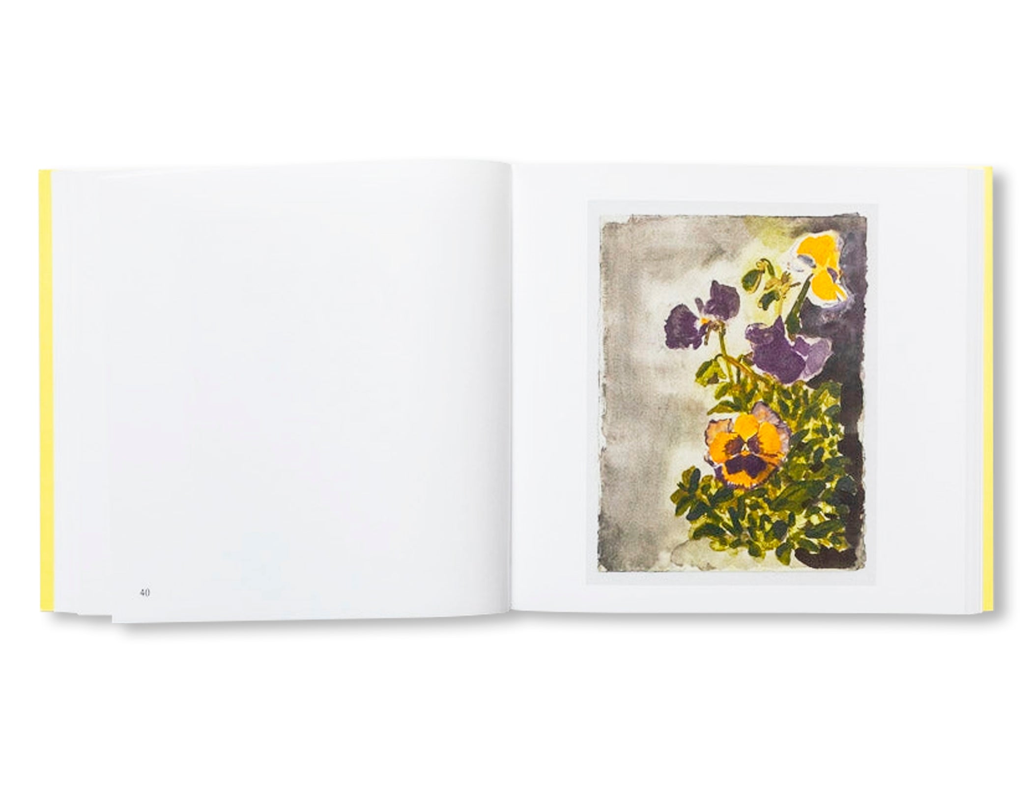 A SUMMER by Amy Sillman