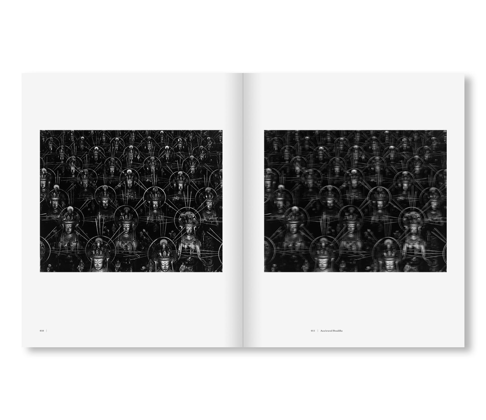 ACCELERATED BUDDHA by Hiroshi Sugimoto [FRENCH EDITION]