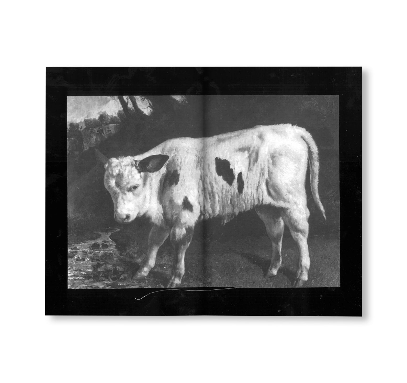 THAT WAY by William Pym